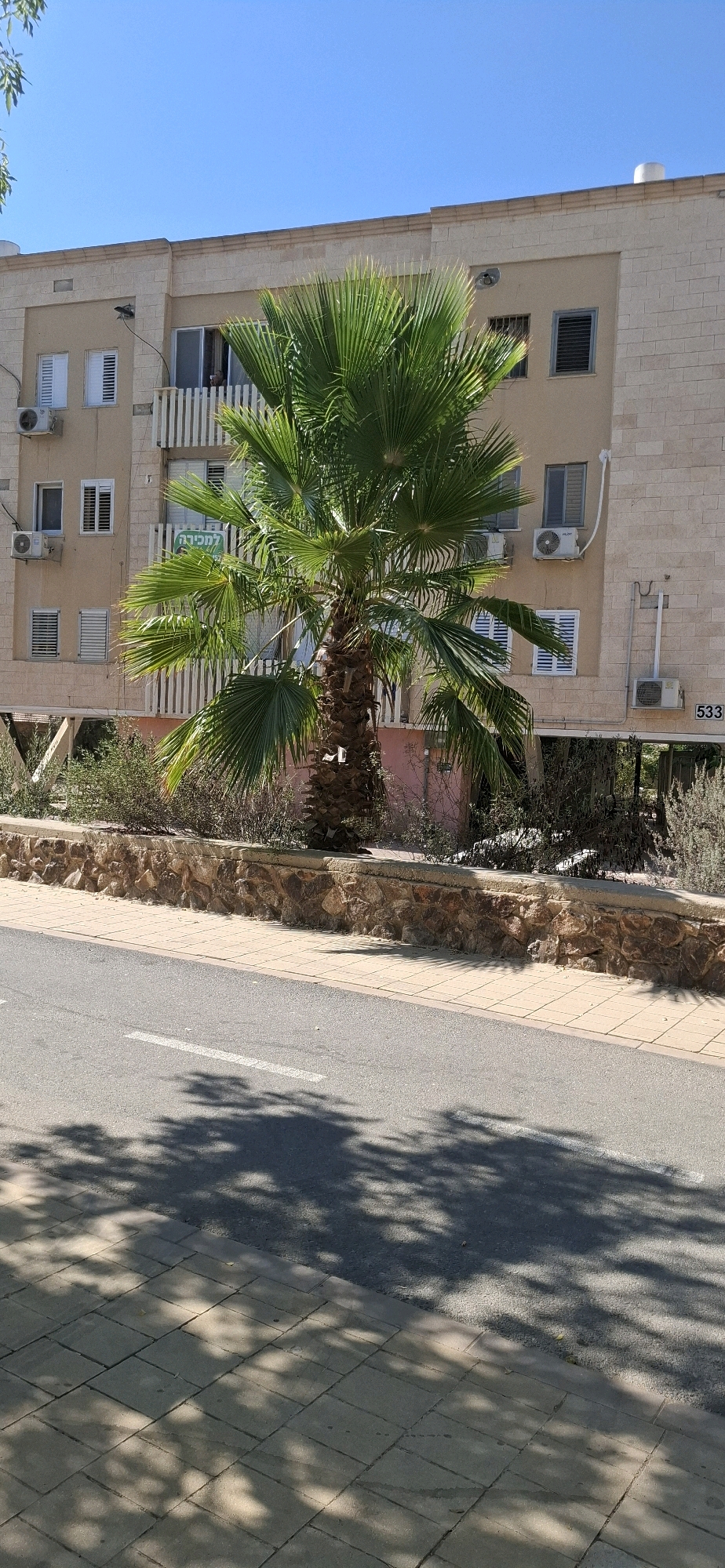 The image captures a segment of a building facade in Yerocham, Israel, under a clear blue sky. The building is constructed with light-colored brick and features multiple windows, some with white shutters. Several air conditioning units are visible mounted on the walls. A prominent palm tree stands in front of the building, casting shadows on the paved sidewalk and asphalt road in the foreground. A low, stone retaining wall separates the sidewalk from a vegetated area behind it, which is partially obscured by the palm tree and its fronds. A sign, partially visible on the building behind the palm tree, displays Hebrew text. The street appears to be a residential road.
