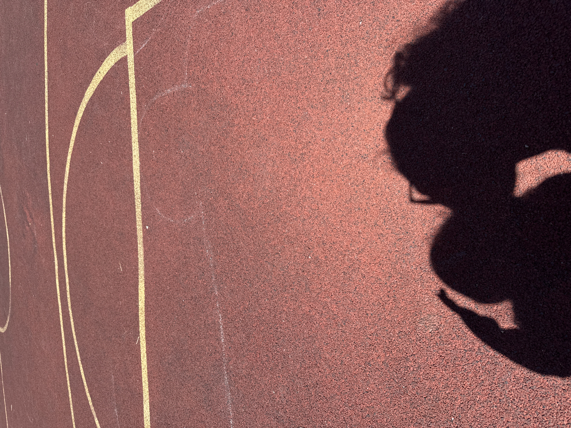 The image shows a shadow of two people on a red running track. The track has yellow lines indicating lanes. The shadows suggest that one person is wearing glasses. The lighting indicates it is daytime. The location in the city of Вязники, Russia is not discernible from the image.