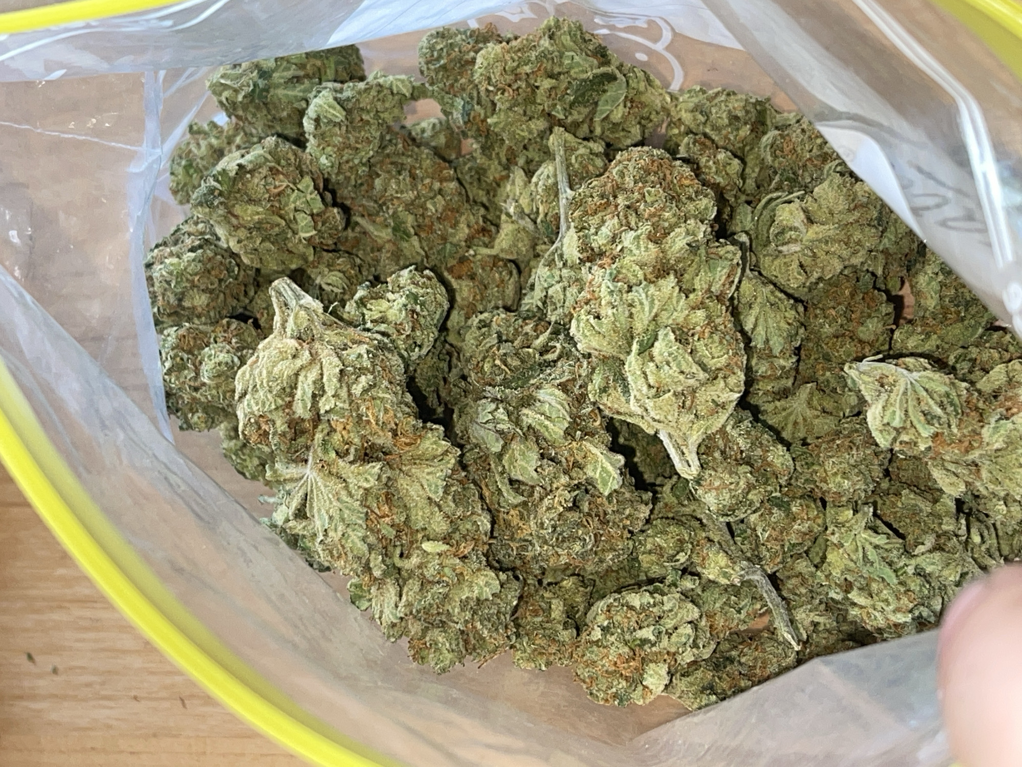 The image shows a clear plastic bag filled with a large quantity of green marijuana buds. The bag has a yellow zipper closure at the top. The marijuana buds are dense and appear to be dried, with visible trichomes and some orange pistils. The background consists of a light brown wooden surface. The lighting is overhead and casts some shadows. There are no people visible in the image.