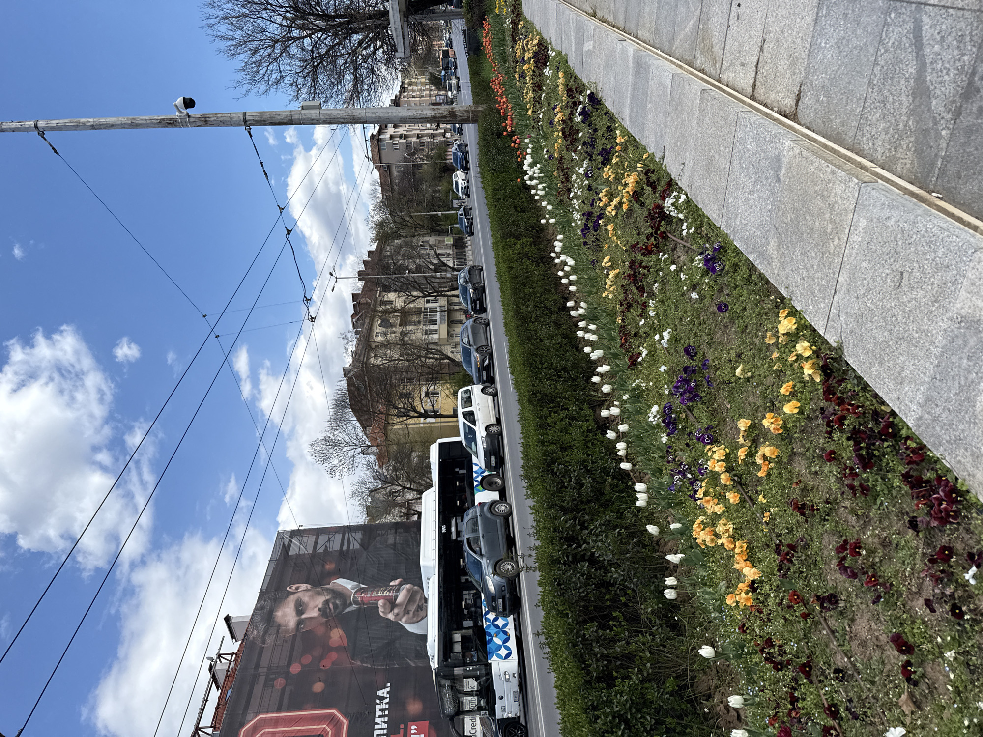 The image depicts a street scene in Sofia, Bulgaria, on a sunny day with some clouds in the sky. Along the right side of the frame is a sidewalk made of gray stone pavers, adjacent to a long flower bed. The flower bed contains a variety of colorful flowers including tulips and pansies in shades of white, orange, yellow, and purple. Behind the flower bed is a trimmed green hedge separating it from the street. Cars and buses are parked along the street, including a white bus adorned with blue and white patterned designs. On the left side of the frame is a large billboard advertising a product or service, featuring a man holding what appears to be a cigar or pen. Above the billboard and cars are buildings typical of Sofia architecture. Utility poles and overhead wires are visible against the blue sky. The scene suggests a central urban area with active pedestrian and vehicular traffic.
