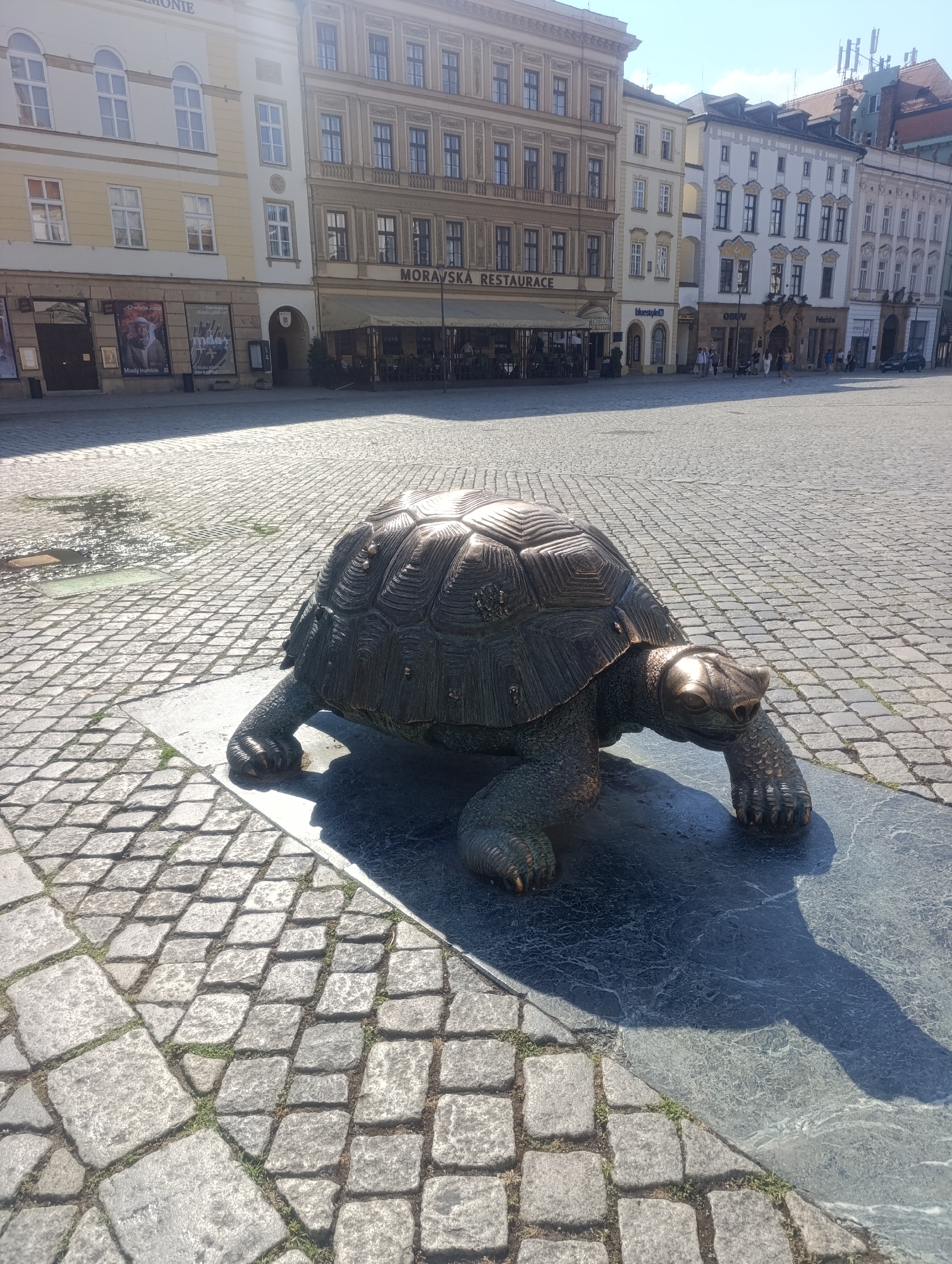 The image captures a bronze sculpture of a tortoise situated on a cobbled plaza in Olomouc, Czechia. The sculpture is centrally positioned and appears to be a permanent installation. Behind the sculpture, a row of historic buildings lines the plaza. These buildings feature a mix of architectural styles, with some exhibiting ornate detailing and others simpler facades. Ground-level shops and restaurants are visible, with awnings extended over some outdoor seating areas. Several people are walking on the plaza in the background, and a car is parked on the right side of the image. The ground is paved with grey cobblestones, some of which are wet, suggesting recent rainfall or a fountain. The scene is illuminated by bright sunlight, casting distinct shadows. The overall atmosphere is that of a public square in a European city.