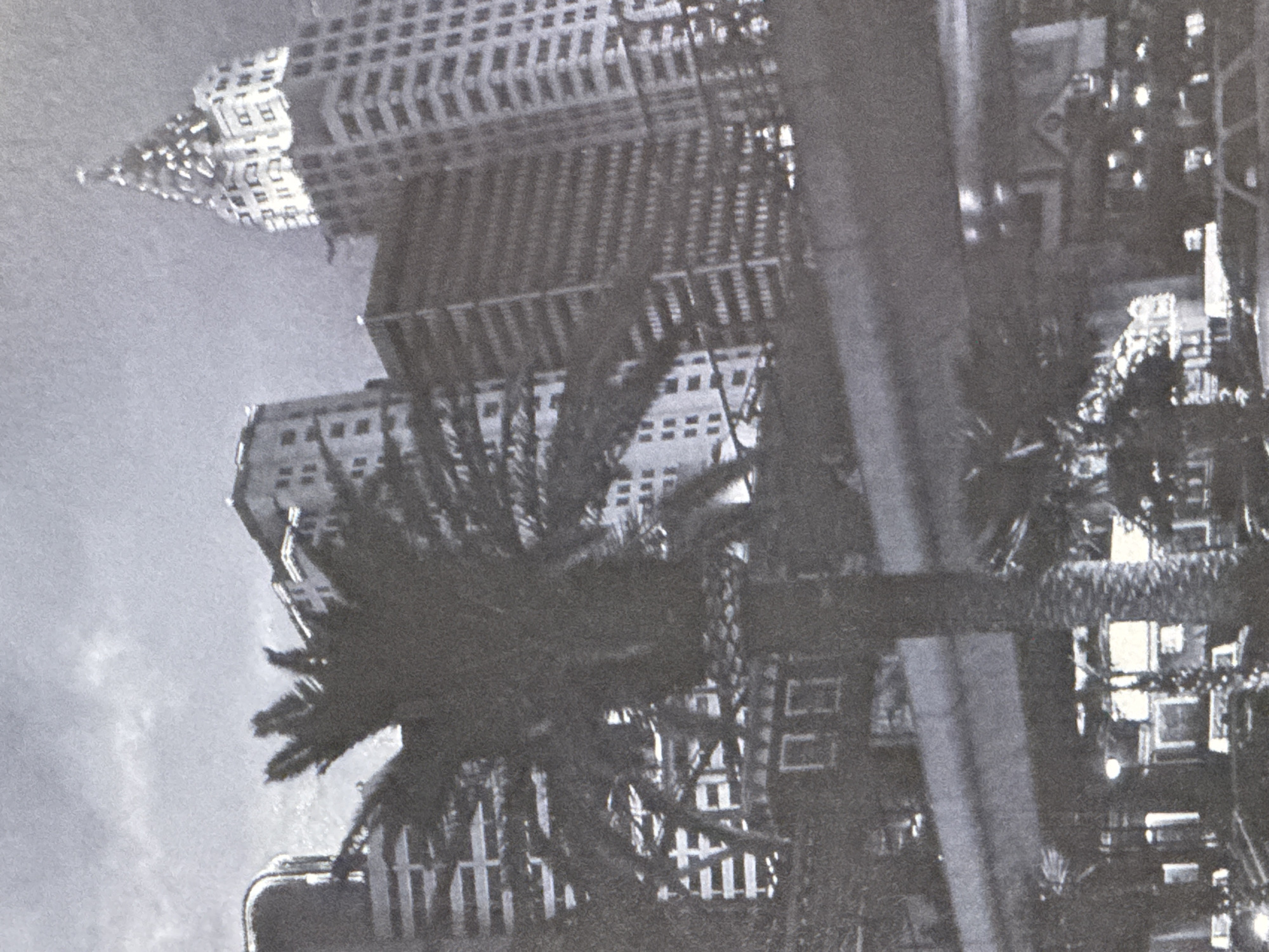 The image is a black and white photograph of a city skyline at dusk or night, featuring tall buildings and palm trees. The buildings appear to be modern skyscrapers, with many windows illuminated. One building in the background has a distinctive pointed spire. A elevated roadway or bridge is visible in the mid-ground, with palm trees in silhouette in the foreground. The sky is cloudy. The image quality is grainy. This image does not depict the city of Novoshakhtinsk, Russia, but rather a Western city, likely in the United States, given the architecture and palm trees.