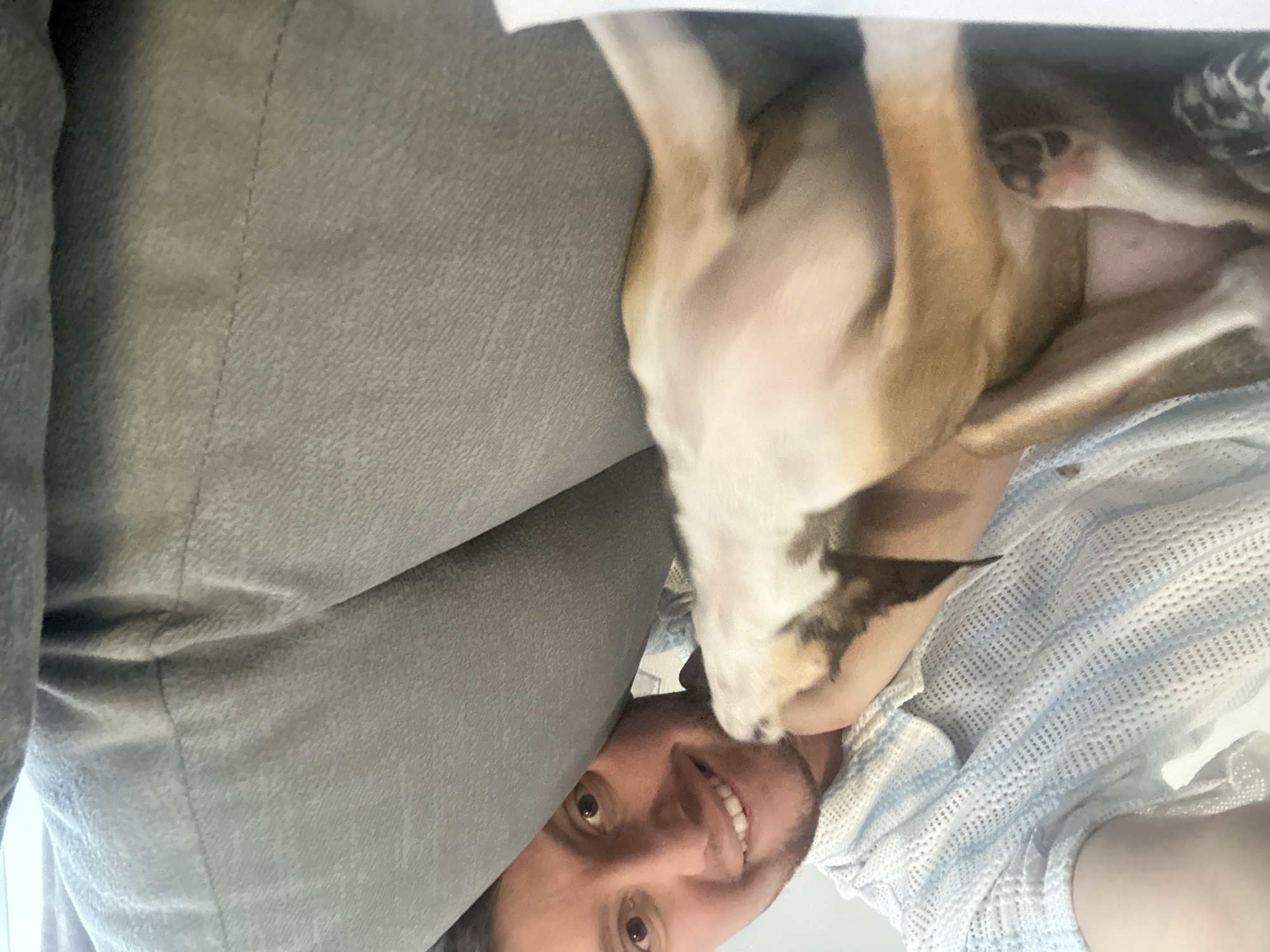 A close-up, eye-level selfie shows a man and a small dog on a grey sofa. The man, with short brown hair and a beard, smiles broadly, his head tilted towards the dog. He wears a light blue and white textured shirt. The dog, a tan and white terrier mix, is positioned in front of the man, facing him and looking up, appearing to lick his chin. The dog's body is mostly in focus, showing its front paws and belly. The background is dominated by the textured grey fabric of the sofa, with a seam visible. The scene suggests a moment of playful interaction between the man and his pet in an indoor setting. There is no discernible connection to the city of Мирный, Russia.