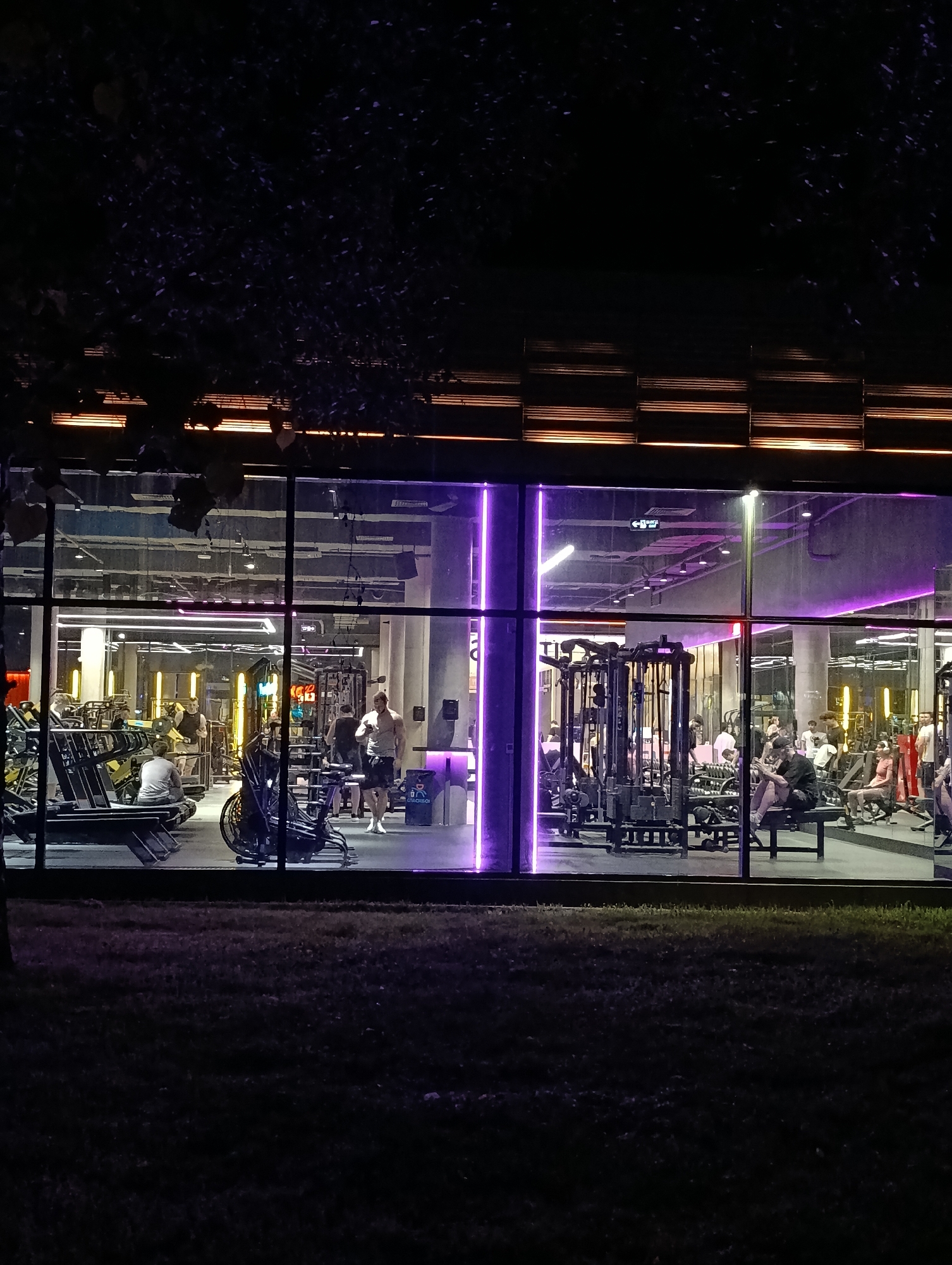 This is a nighttime view of a modern fitness center in Moscow, Russia, observed from an exterior vantage point through large, multi-pane windows. Dark tree branches partially obscure the upper portion of the building, and a patch of dark grass occupies the immediate foreground.
The gym interior is brightly illuminated with a contemporary lighting scheme. Vertical purple neon light strips serve as prominent architectural features, complementing horizontal purple lights embedded in the ceiling and along walls. Additional warm yellow-orange lighting is visible in the background areas, alongside standard white overhead lights.
The spacious, open-plan gym is equipped with various exercise machinery. On the left side, multiple treadmills are arranged, with a woman in light attire seated on a low bench facing away from the viewer. A man in a white t-shirt and dark shorts stands near other weight training equipment. In the central section, a muscular man in a white t-shirt and dark shorts stands, holding a phone, next to an air bike. Another man walks past him. On the right side, a man in a dark t-shirt and shorts sits on a bench, looking at his phone, alongside a woman in a pink top and dark leggings who is also seated and engaged with her phone. Several other individuals are visible throughout the gym, either exercising or resting.
Within the gym, a blue waste bin with white Cyrillic text clearly reads "СПОРТМАСТЕР" (Sportmaster) and "УБОРКА" (Cleaning), indicating an affiliation with the large Russian sporting goods retailer. A "ВЫХОД" (Exit) sign, also in Cyrillic, is visible above a doorway on the left side of the gym interior. The large glass windows reflect elements of the interior lighting. The overall scene depicts a busy, well-lit fitness environment during nighttime hours in a modern urban setting within Moscow, Russia.