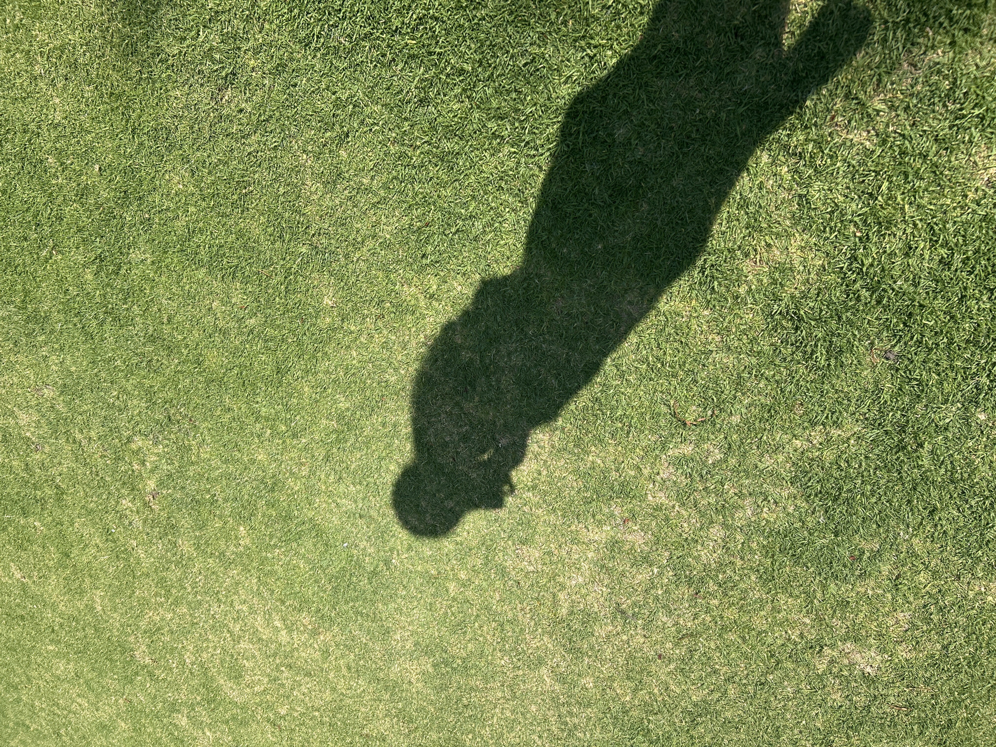 The image shows a patch of green grass, likely a lawn or field. A shadow of a person is cast onto the grass, oriented vertically in the upper center. The shadow suggests a figure facing the sun, with a visible head and body. The environment is sunny, indicated by the stark shadow contrast. There is no further information visible for the location to be specifically determined as being within the city of Puebla, Mexico, or any specific actions, interactions, or objects.