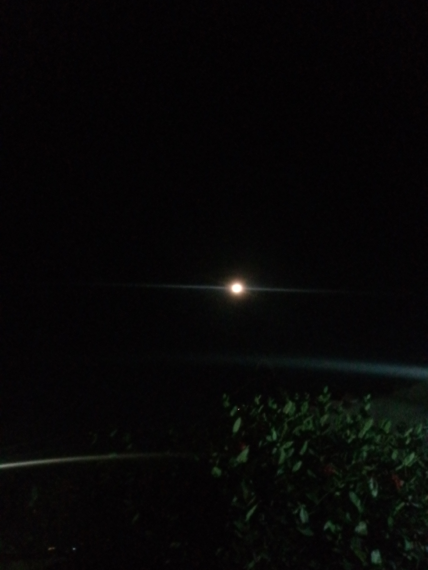 The image depicts a dark, nocturnal scene, likely a landscape or seascape at night, with the location context being Juan Griego, Venezuela. The dominant feature is a bright, circular light source positioned to the left of the center in the upper half of the frame. This light, possibly the moon or a strong artificial light, emits a distinct, elongated horizontal lens flare that extends across the dark sky. The sky is otherwise devoid of stars and appears completely black.
In the foreground, dense, dark foliage or bushes are visible, primarily in the lower right quadrant. The leaves of these plants are subtly illuminated, suggesting ambient light or a light source just outside the frame. A faint, linear streak of light or reflection is also discernible in the lower-right portion of the image, which could indicate a body of water such as the sea or a distant light source on the horizon. No people or specific activities are visible. The overall mood is one of stillness and night-time tranquility. There is no visible text.