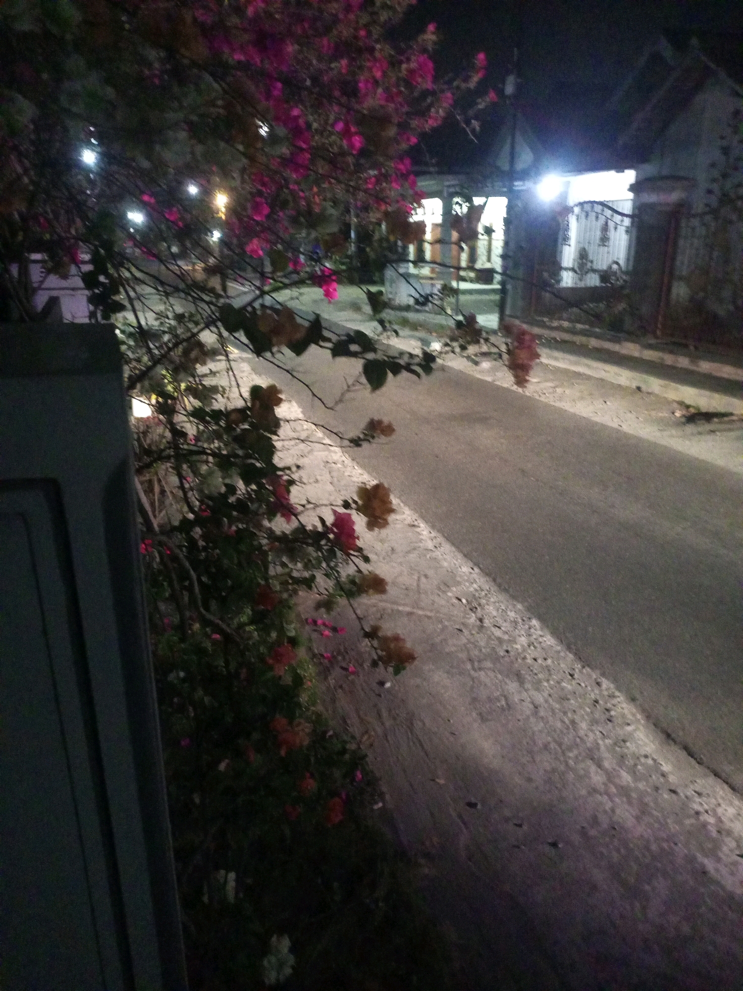 An outdoor nighttime scene in the city of Ngasem, Indonesia features a paved road with a light grey, speckled surface, sloping downwards from right to left. To the left of the road, a dark grey, vertical structure occupies the foreground. Beyond this structure, a flowering plant with pink and red blossoms and dark green foliage is prominent. The plant's branches extend over the road. In the background, a building with a dark roof and white siding is visible behind a grey metal gate. A bright white light illuminates the area near the gate. The scene is dimly lit by streetlights and ambient light.