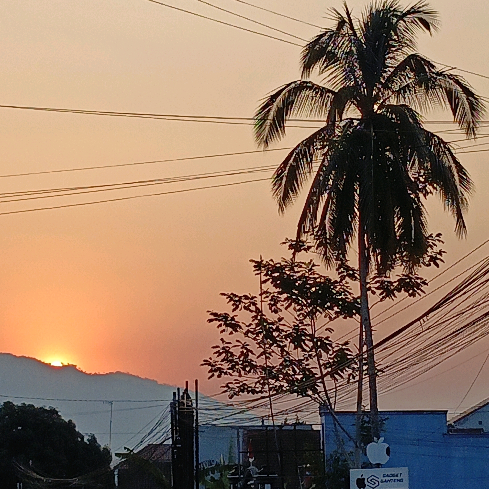 The image captures a sunset scene in Gedangan, Indonesia. The sun is partially visible, peeking over a silhouetted mountain range in the background, casting an orange and pink glow across the sky. In the foreground, a tall palm tree stands silhouetted against the sky, with its fronds reaching upwards. Below the palm tree, a smaller tree with dark leaves is visible. A network of power lines crisscrosses the upper portion of the image. In the lower right section, a blue building is partially visible, with a white apple logo and text that reads "GADGET GANTENG". The scene appears to be an urban or semi-urban environment due to the presence of power lines and buildings.