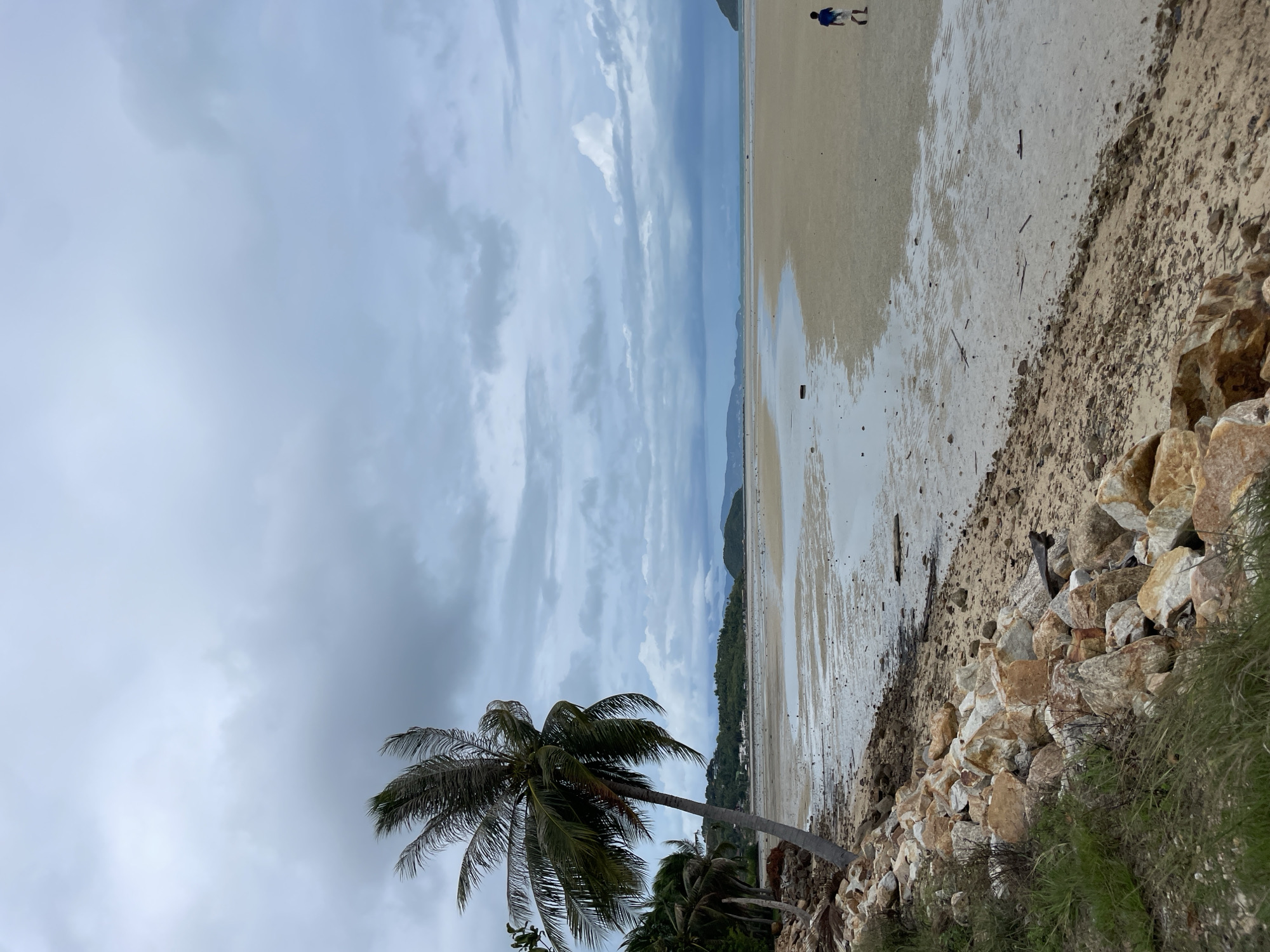 The image shows a beach scene in ตำบลเกาะพะงัน, Thailand. A palm tree is in the foreground on the left, leaning towards the right. The beach stretches towards the horizon, with a person walking far in the background. The sky is overcast with grey clouds. The shoreline has rocks and vegetation. The beach is wet, reflecting the sky.