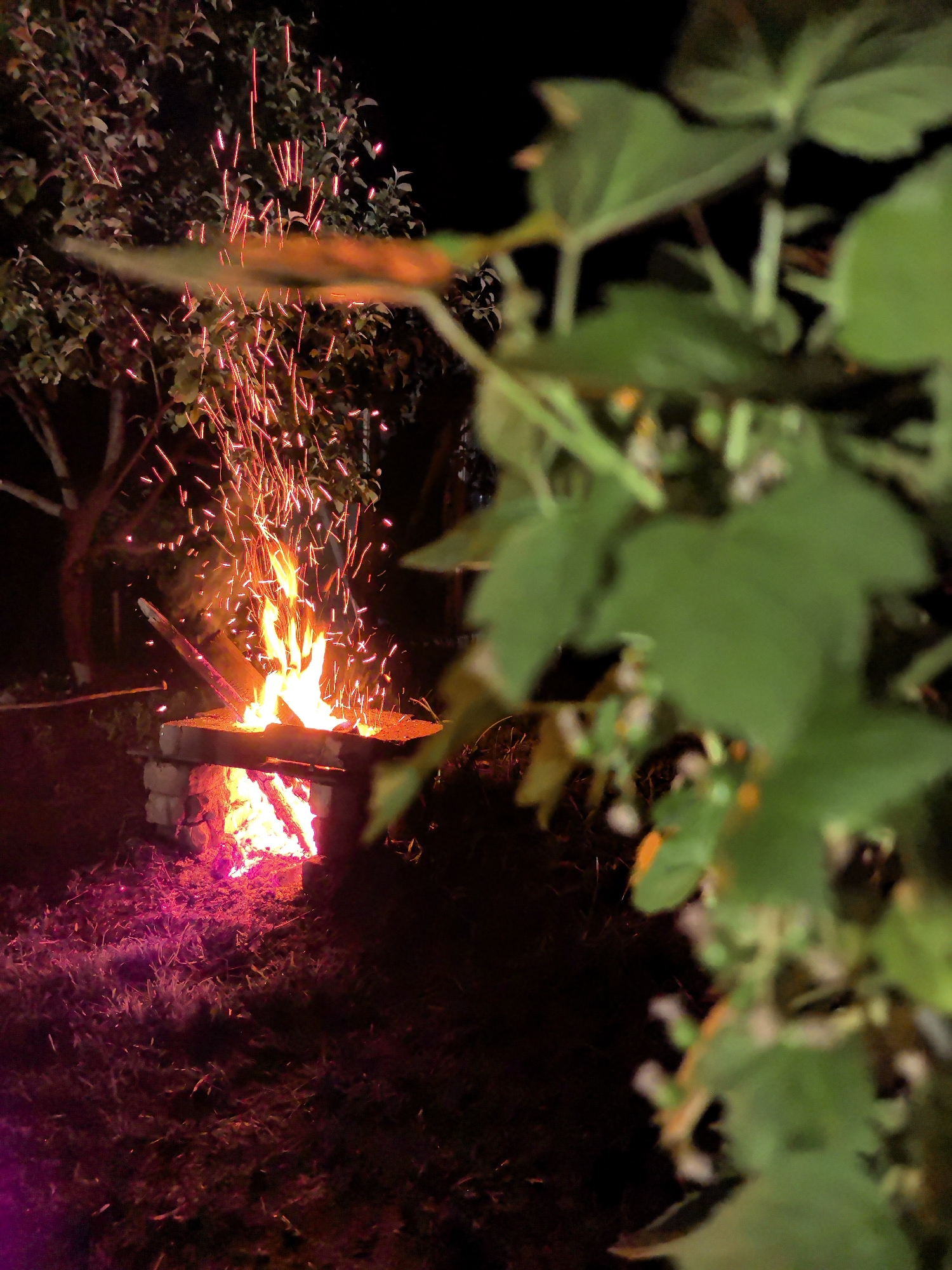 The image depicts a nighttime scene in an outdoor setting. A fire is burning in a makeshift fire pit constructed from concrete blocks. Sparks are rising from the fire. To the left, a tree is visible in the background. Out-of-focus green foliage is in the foreground on the right. The ground appears to be covered in grass. The location is Shabury, Russia.