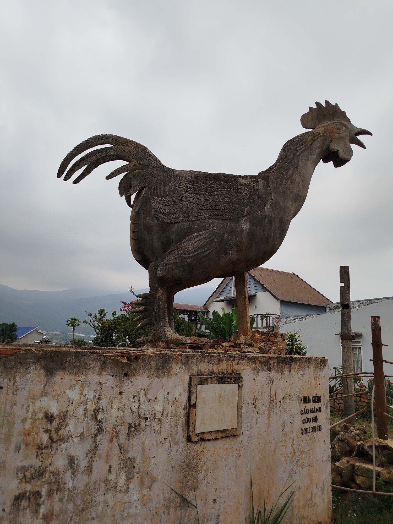 The image shows a weathered, gray concrete rooster statue standing on a concrete base. The statue appears to be hollow. In the background, there are buildings, including a house with a brown roof and a white building with a window. A mountain range is visible in the distance under a cloudy sky. The base of the statue is cracked and stained, with an empty rectangular frame and painted Vietnamese text including a telephone number that indicates the statue is in Đarahoa, Vietnam. Some greenery is growing around the base of the statue.
