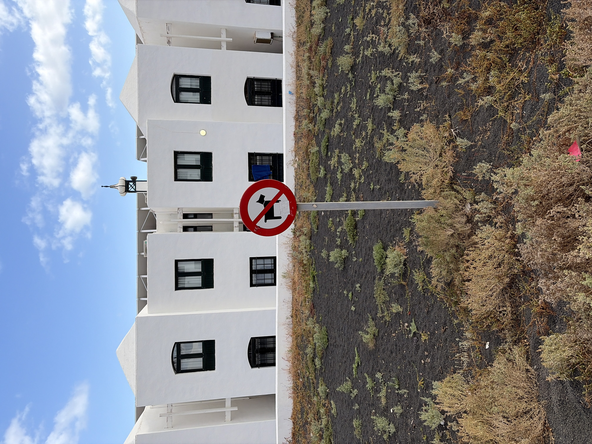 The image, captured in Tías, Spain, displays a stark contrast between modern architecture and an arid natural landscape under a bright, partly cloudy sky. On the left, a series of pristine white, multi-story buildings rise against a clear blue sky dotted with fluffy white clouds. These buildings feature dark, rectangular windows, some with arched tops, and simple, clean lines. A decorative weather vane or finial is visible atop one of the structures, silhouetted against the sky.
On the right, a rugged terrain of dark, likely volcanic, soil is covered with sparse, low-lying vegetation in shades of green, brown, and tan, indicating an arid environment. A red and white circular sign, mounted on a light-colored pole, stands prominently between the buildings and the natural ground. The sign features a black dog silhouette with a red diagonal line crossing it, clearly indicating a "no dogs allowed" restriction. The scene is brightly lit, suggesting clear, sunny daytime weather. No people are visible, and the scene is static, showcasing the unique landscape and architecture of the region.