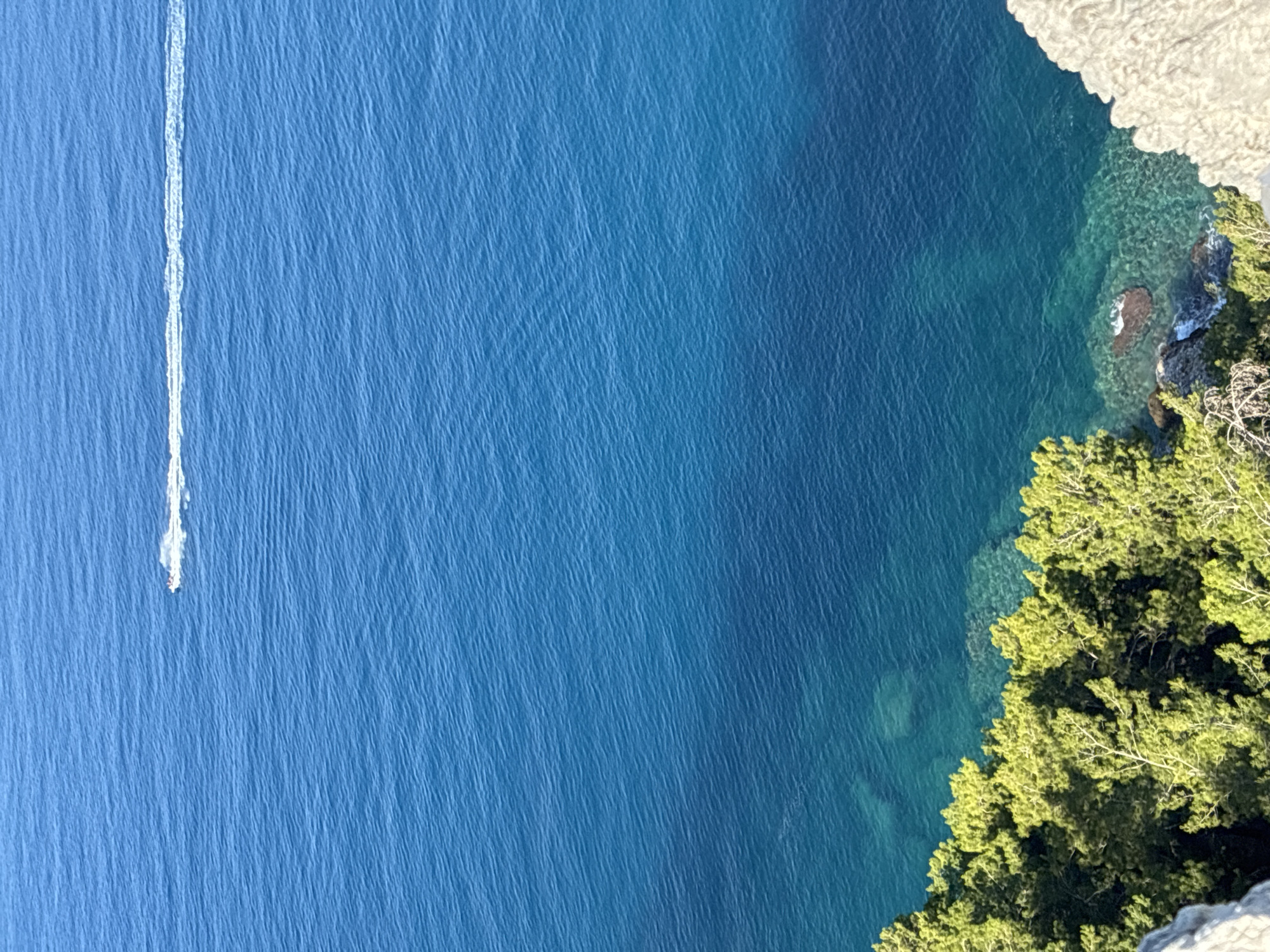 A high-angle, full shot captures a body of turquoise water under a clear blue sky, with a small white speedboat leaving a white wake as it moves horizontally across the upper half of the frame. The lower portion of the image features lush green trees cascading down a rocky cliff face, which gives way to clear, shallow water revealing submerged rocks. The scene is likely from a coastal viewpoint in Alanya, Turkey, offering a view of the Mediterranean Sea.