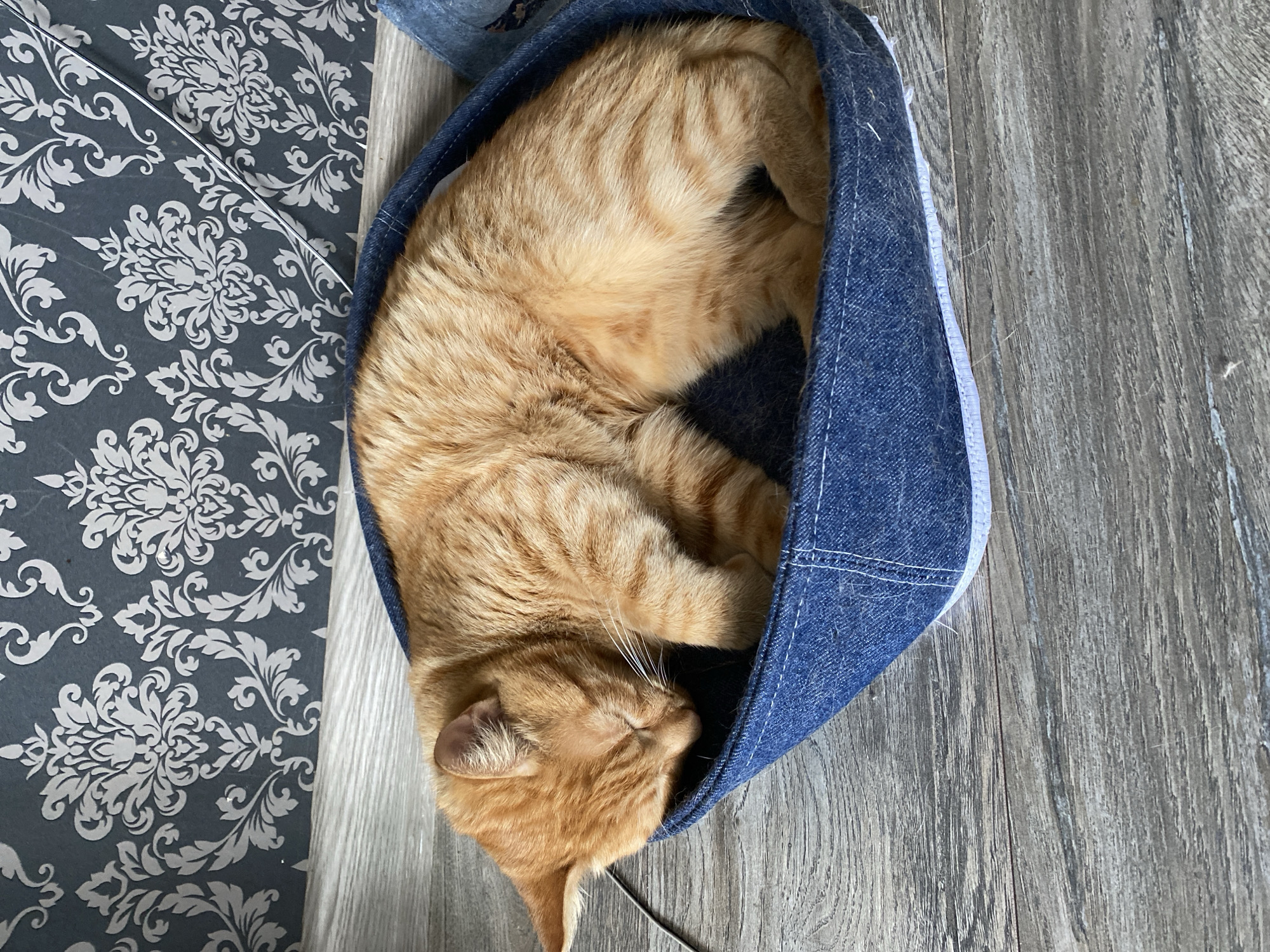 An orange tabby cat is sleeping curled up in a blue denim cat bed. The cat's eyes are closed, and its head is resting on its paws. The cat bed is placed on a wooden floor, and a patterned wallpaper is visible in the background. The scene is indoors.