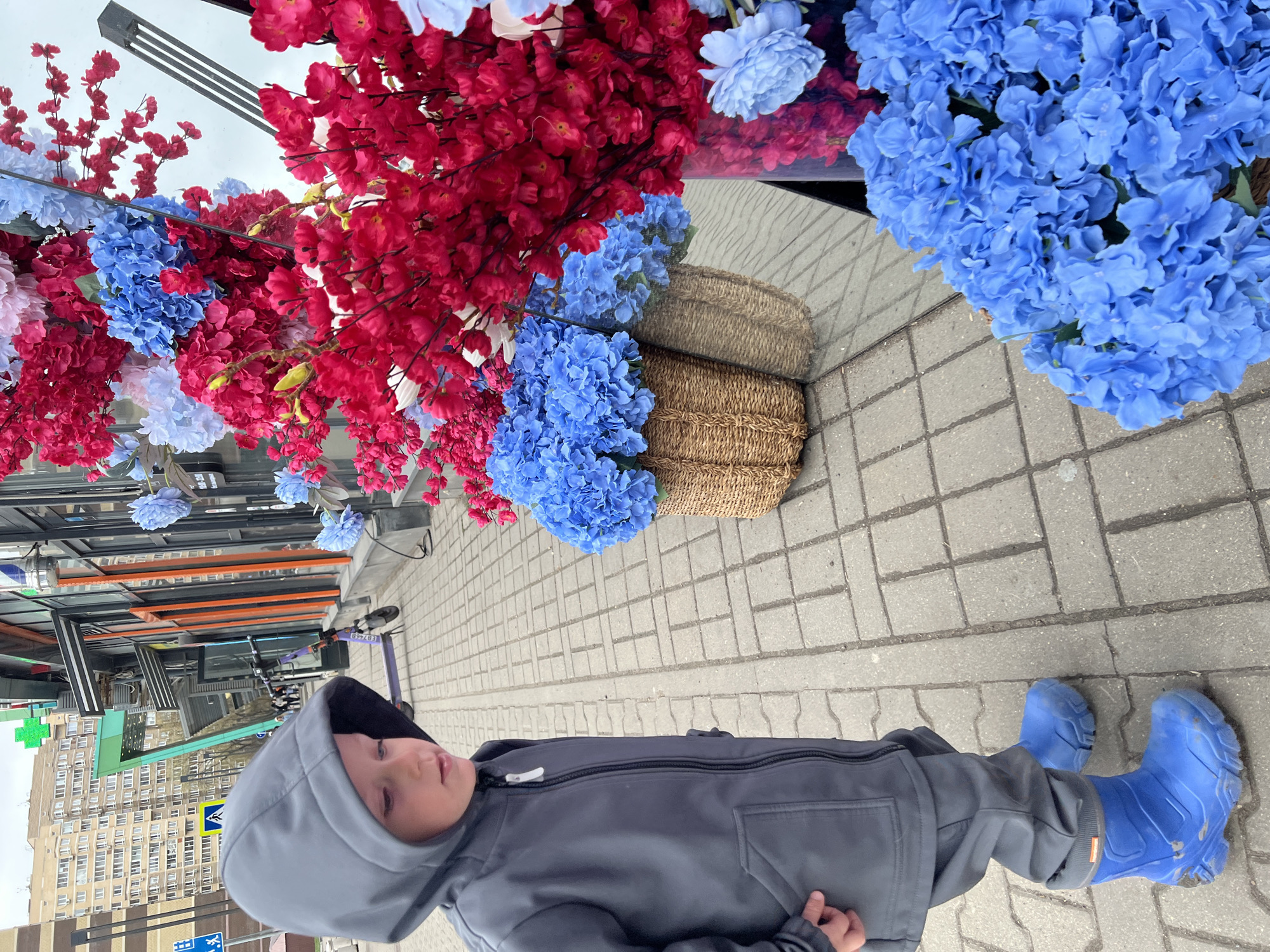 A medium-angle, outdoor shot, presented rotated 90 degrees counter-clockwise, captures a young child standing on a paved sidewalk next to a vibrant floral display. The scene unfolds in an urban environment, characteristic of Mytishchi, Russia.
The central subject is a child, likely a boy, dressed in a grey hooded jacket with a zippered front and wearing distinct bright blue rubber boots. His face is visible from beneath the hood, turned slightly to the left, with a calm, neutral expression. A small orange tag with "Nordman" text is visible on the side of one boot.
Dominating the upper and central portions of the image are abundant artificial flowers. These are primarily bright red blooms and electric blue clusters, resembling hydrangeas, with some softer pink or white flowers interspersed. This floral arrangement is reflected in a large, mirrored surface, possibly a glass facade, creating an illusion of flowers extending both upwards and downwards. Two woven, light brown baskets, holding blue flowers, are also seen in reflection.
The ground beneath the child's feet is a pattern of grey rectangular pavers. In the background, behind the child, there is a multi-story building, likely residential or commercial, with numerous windows. Various urban elements are present, including a green cross sign (often indicating a pharmacy), a yellow square sign for a pedestrian crossing, and what appears to be a purple electric scooter or bike displaying "2979 BA".
The sky above is overcast, suggesting a cloudy daytime setting, as indicated by the lack of harsh shadows. The overall impression is that of a quiet urban street or pedestrian area, brightened by the striking colors of the artificial flower display.