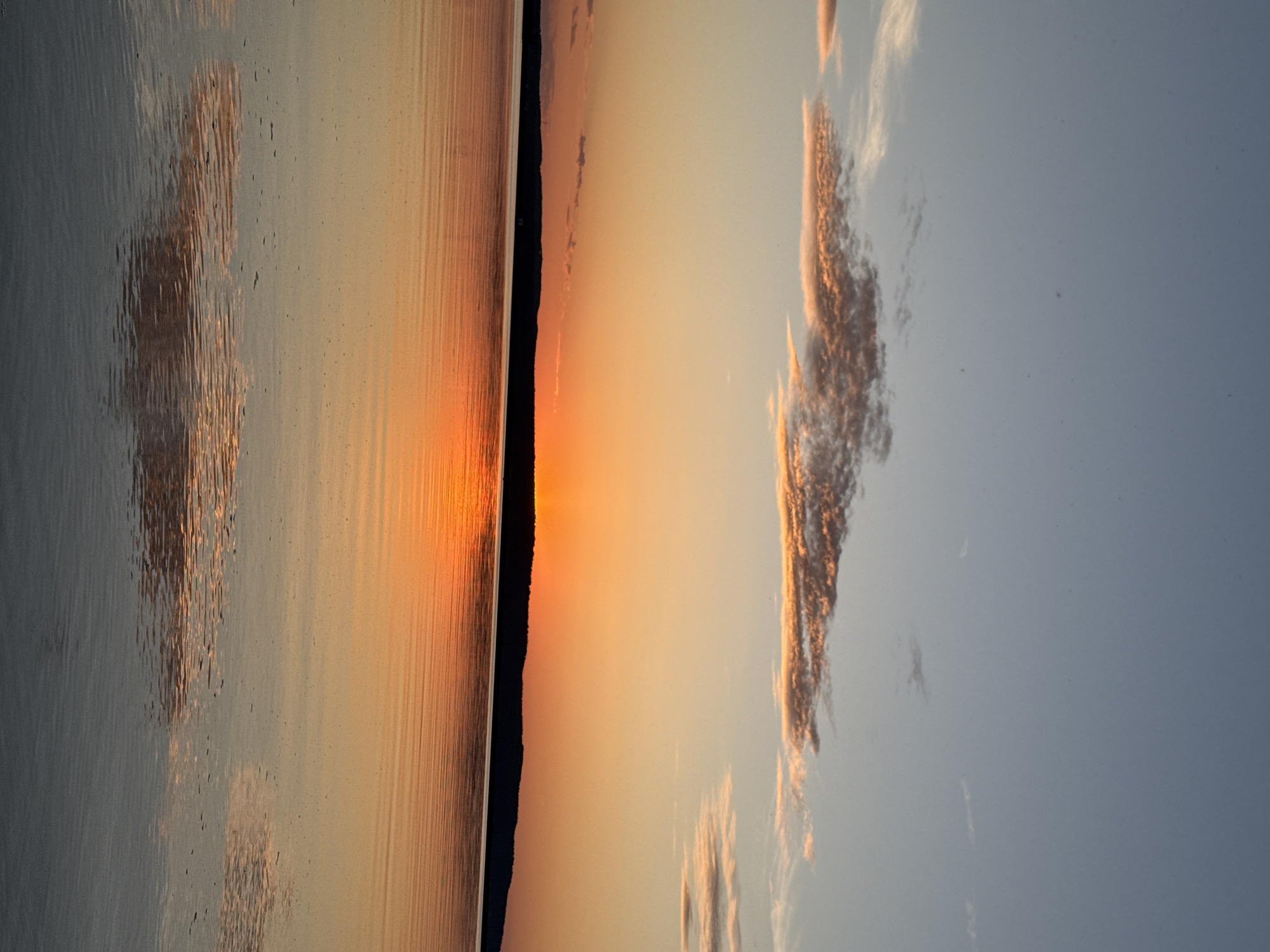 A natural landscape captured at sunset over a large body of water in Chaikovsky, Russia, is depicted. The upper sky is a muted blue-grey, containing numerous small, dark, irregular specks. Below this, the sky transitions into a broad band of intense orange and yellow light, indicating the position of the setting sun. Scattered clouds are present; higher, wispy formations are faint, while lower, elongated clouds are illuminated by the orange light, appearing in tones of peach and orange. A dark, silhouetted landmass, likely a treeline or distant hills, forms a distinct horizontal line across the middle ground, separating the sky from the water. The sun's disk is not explicitly visible but contributes to the concentrated orange glow at the horizon. The foreground is a calm body of water, reflecting the sunset colors. The reflection of the vibrant orange sky dominates the upper portion of the water, which gradually fades into a darker grey-blue towards the bottom. The water surface exhibits subtle ripples and scattered dark particulate matter. No individuals, animals, or identifiable man-made objects are present within the frame. The scene conveys a tranquil, natural environment at dusk.