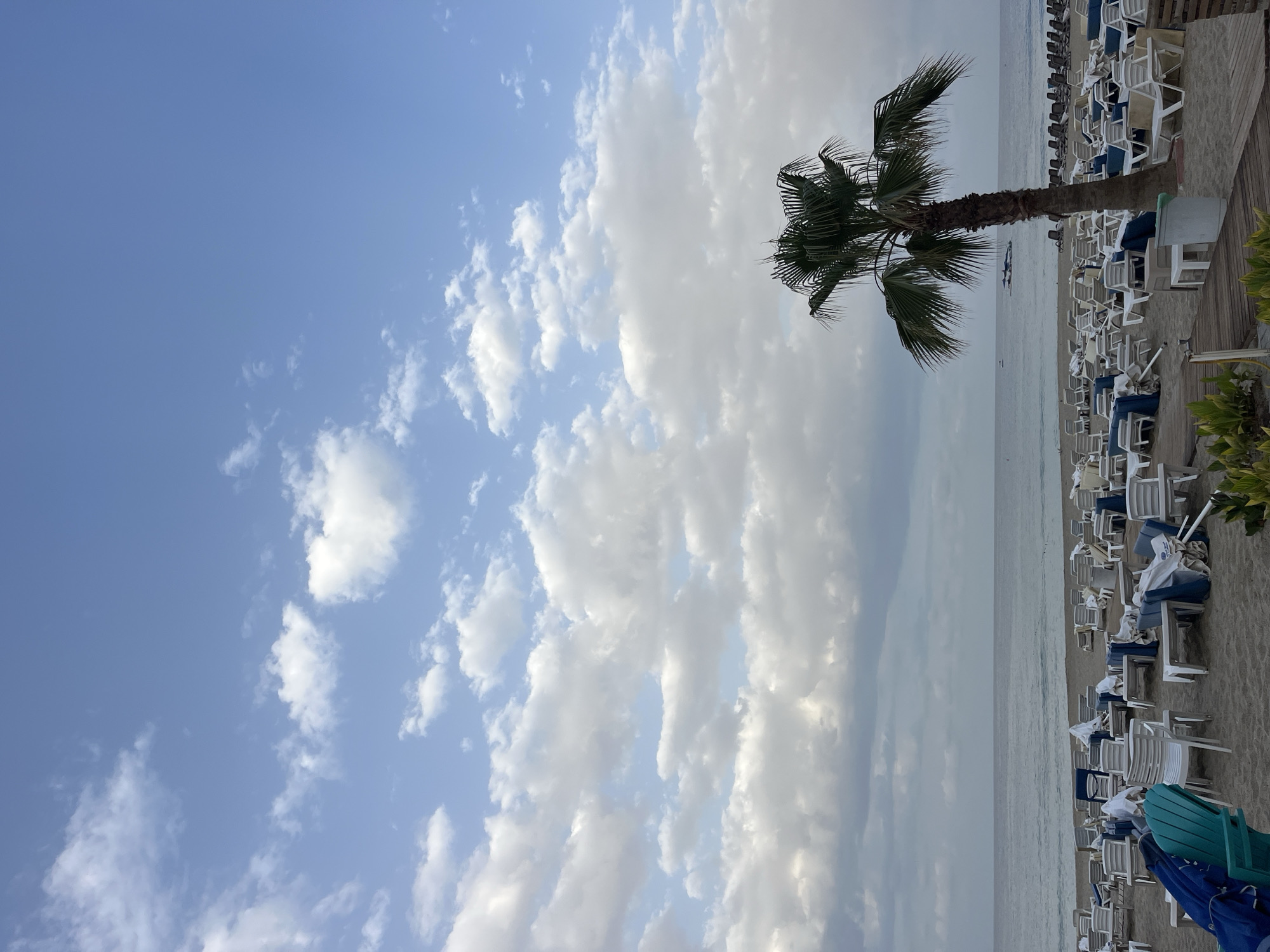 The image shows a beach scene in Alanya, Turkey. The sky is partly cloudy with a mix of blue sky and white, billowy clouds. In the middle ground, a palm tree stands prominently. To the right of the palm tree, a crowded beach with numerous white and blue beach chairs is visible. The sea is a grayish-blue color. No people are clearly visible.