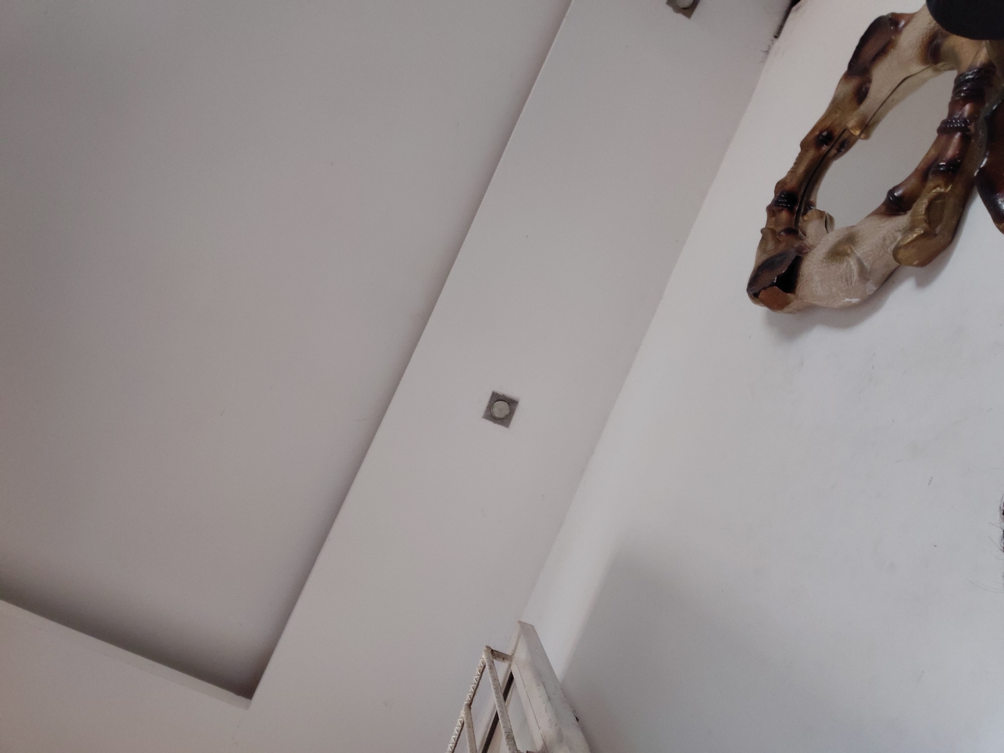 This upward-angled photograph captures an interior space, likely a room or hallway, characterized by clean, light-colored surfaces and a prominent wall decoration. The perspective is tilted, creating dynamic diagonal lines across the frame.
The upper left portion of the image shows a plain, white or off-white ceiling, featuring a rectangular drop-down section or architectural detail that creates a shadow line, adding depth. A single square, silver-toned recessed light fixture is visible on the main ceiling plane, off-center to the right.
The right side of the image reveals a matching light-colored wall on which a distinct decorative object is mounted. This object appears to be a segment of an animal, specifically resembling a pair of hooves or lower legs, possibly from a deer or similar ungulate. The hooves are dark brown and beige, with a textured, almost fossilized or preserved appearance, suggesting taxidermy or a realistic replica.
In the bottom right corner, a partial view of a rustic, light-colored metal structure is visible, possibly part of a window frame, a railing, or a piece of furniture, though its exact nature is unclear due to cropping and blur.
No activity is taking place, and no people are present. The lighting is even, suggesting an indoor setting without direct sunlight. There are no discernible time-of-day or weather indicators. The image does not contain any visible text, nor does it offer specific visual cues to its location in Santa Ana, Venezuela, beyond the given context. The overall impression is one of a minimalist interior with a striking, nature-inspired decorative element.