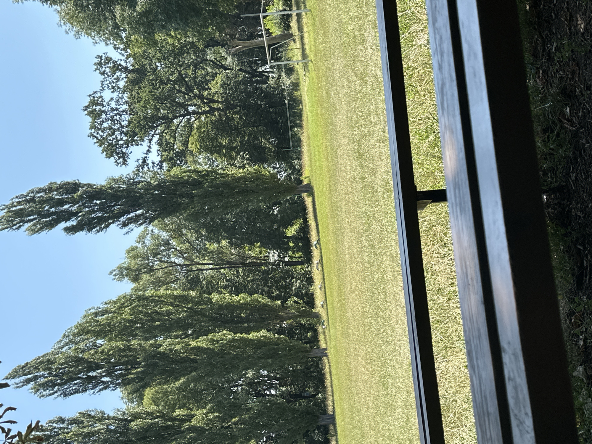 The image shows a park scene with a clear blue sky. In the foreground, the dark-colored slats of a wooden bench are visible. Beyond the bench, a wide, sunlit grassy field stretches out. A line of tall, slender trees stands against the backdrop of a denser, darker forest. In the distance, on the right side of the field, a metal soccer goal can be seen. Several small, white objects are scattered across the grassy field. The overall impression is one of a peaceful outdoor setting. The prompt does not provide any information about the location being in Makiv, Ukraine, therefore this detail cannot be included in the description.