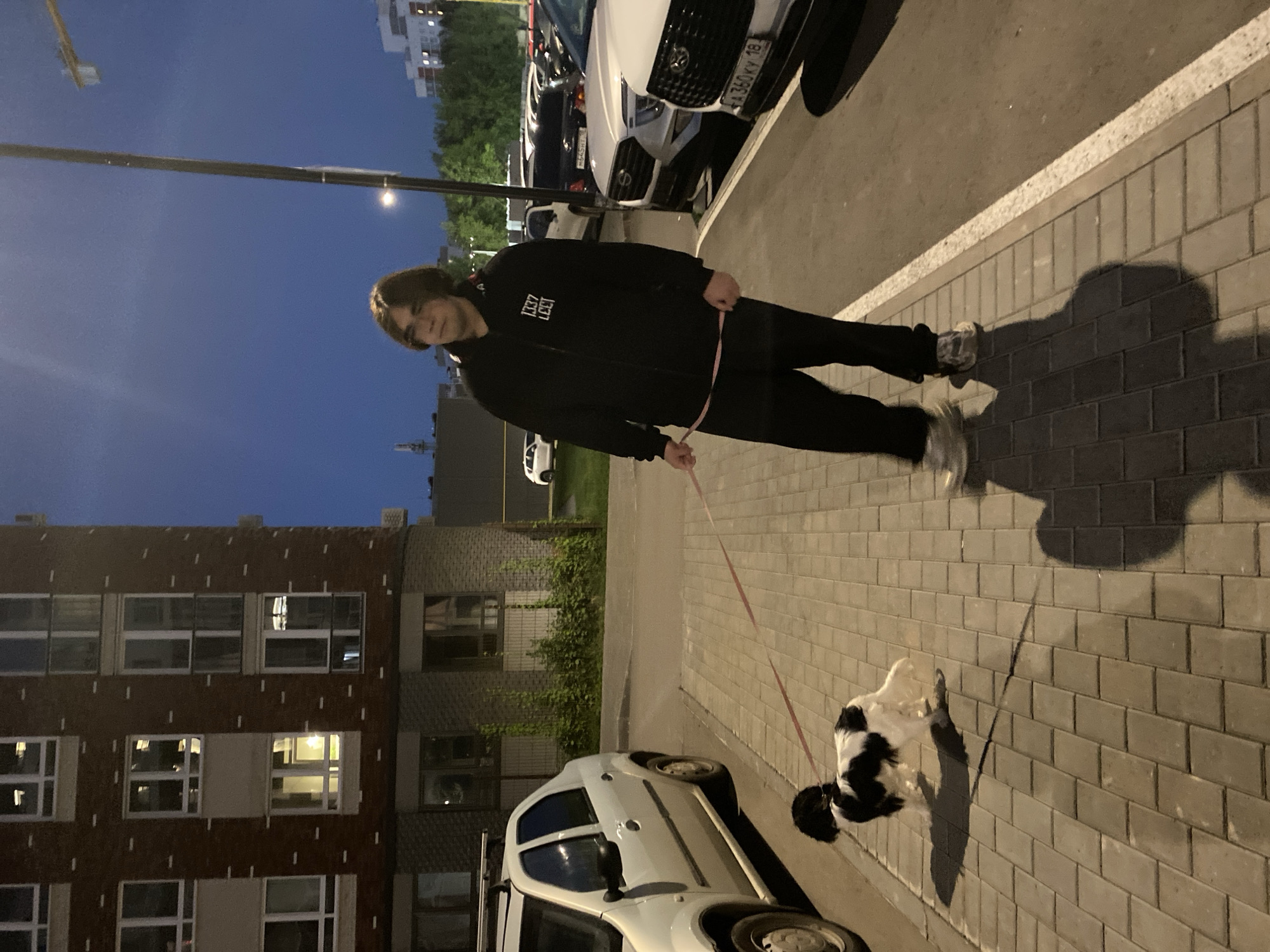 The image depicts a young man walking a small black and white dog on a leash at dusk in a residential area of Izhevsk, Russia. The man, wearing a black zip-up hoodie and dark pants, is walking on a paved sidewalk in front of a brick apartment building. The dog, which appears to be a spaniel mix, is on his right. Several cars are parked in the background, including a white sedan on the left and other vehicles further down the street. The sky is a deep blue, indicating twilight. The scene appears to be a typical urban environment with apartment buildings, cars, and street lighting.