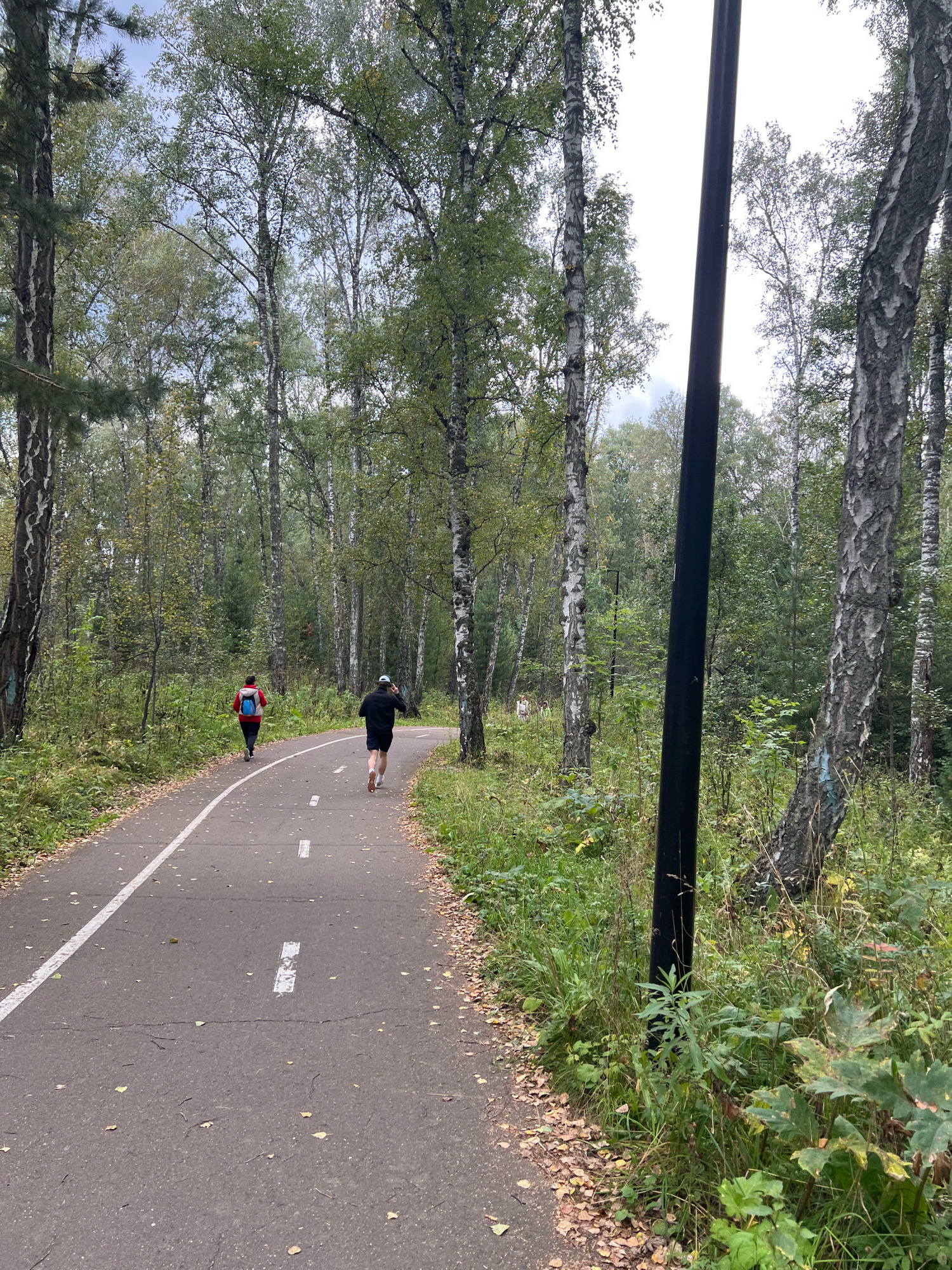 In the city of Krasnoyarsk, Russia, two individuals are jogging on a paved path through a birch and pine forest. The path is marked with white lines, indicating a dedicated lane for runners and cyclists. Fallen leaves are scattered across the asphalt, suggesting it is autumn. The trees are predominantly birch with their characteristic white bark, interspersed with darker pine trees. A black lamppost stands prominently on the right side of the path. The sky is overcast, with the light filtering through the dense canopy of leaves. One runner, on the left, is wearing a red jacket and a blue backpack. The other runner, on the right, is wearing dark shorts and a black top, and appears to be looking at their phone. The environment suggests a park or recreational area within a forested part of the city.