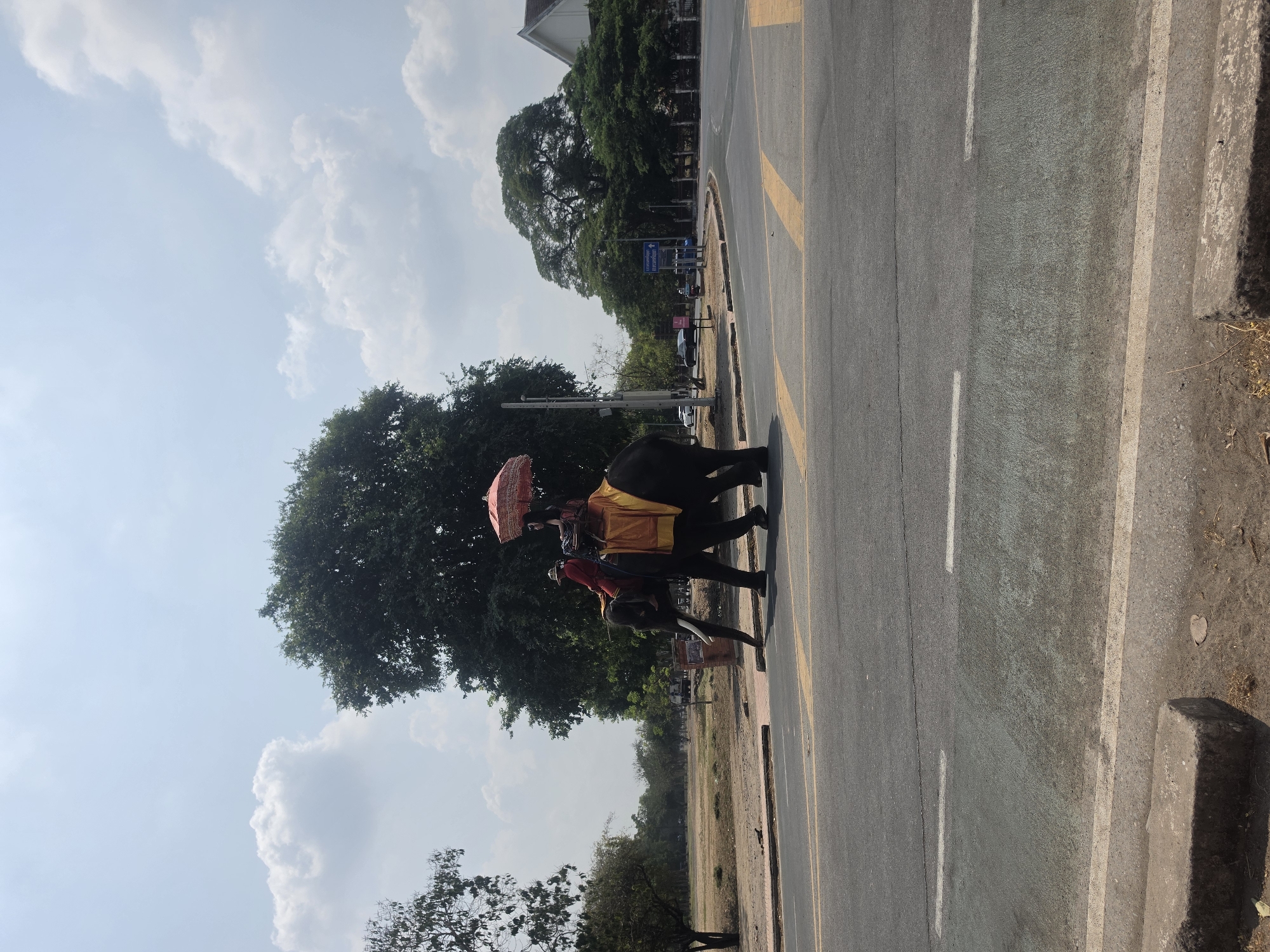 The image depicts an elephant and two riders on a paved road. The elephant has a yellow cloth on its back and one of the riders is holding an orange umbrella. The road is marked with yellow and white lines. In the background, there is a grassy field, trees, and a building. The location is the Historic City of Ayutthaya, Thailand.