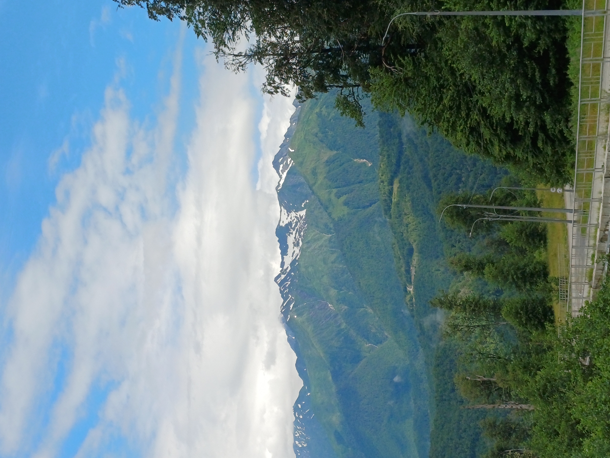 The image depicts a mountainous landscape in Estosadok, Russia. In the foreground, a metal railing and concrete barrier line a paved area, possibly a road or walkway, with several lampposts visible. Lush green trees, some with bare branches, flank the foreground. Behind this, rolling green hills covered in dense forest ascend towards the majestic Caucasus Mountains. The peaks of these mountains are snow-capped, starkly contrasting with the verdant slopes below. The sky above is a vibrant blue, dotted with white, fluffy clouds. The scene conveys a sense of natural beauty and tranquility, with the infrastructure of a developed area subtly integrated into the wilderness.