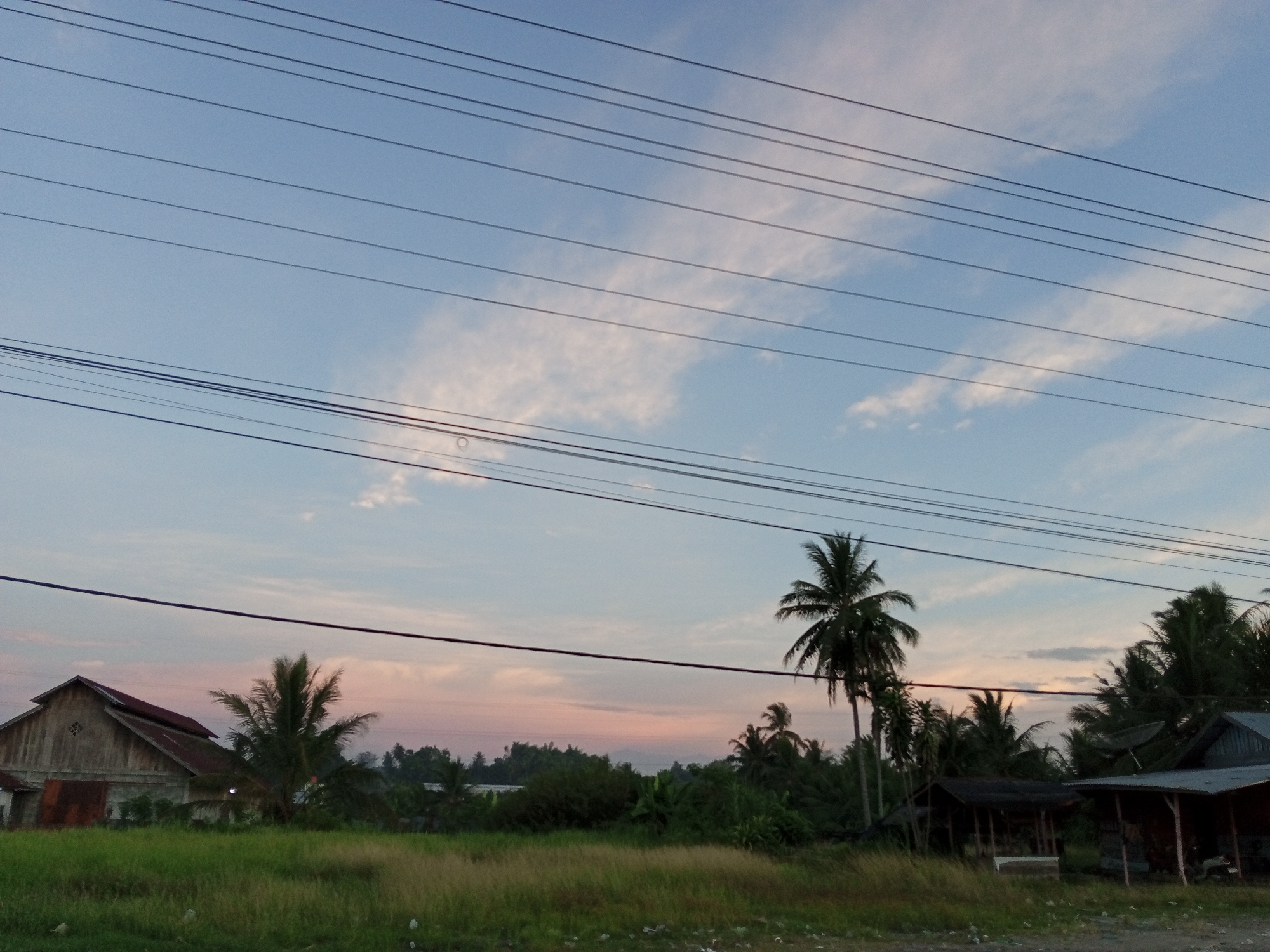 The image depicts a scene in Tingkeummanyang, Indonesia, at dusk or dawn. The sky is a gradient of blue to pink, with scattered clouds. Prominent power lines crisscross the upper portion of the frame. In the foreground, there is a grassy field with vegetation. Amidst the field and beyond are several buildings, including a wooden structure with a slanted roof to the left. Palm trees dot the landscape. One prominent palm tree stands tall near the center of the image. Further to the right, there are simple, open-sided buildings or sheds, some with what appears to be satellite dishes mounted on them.