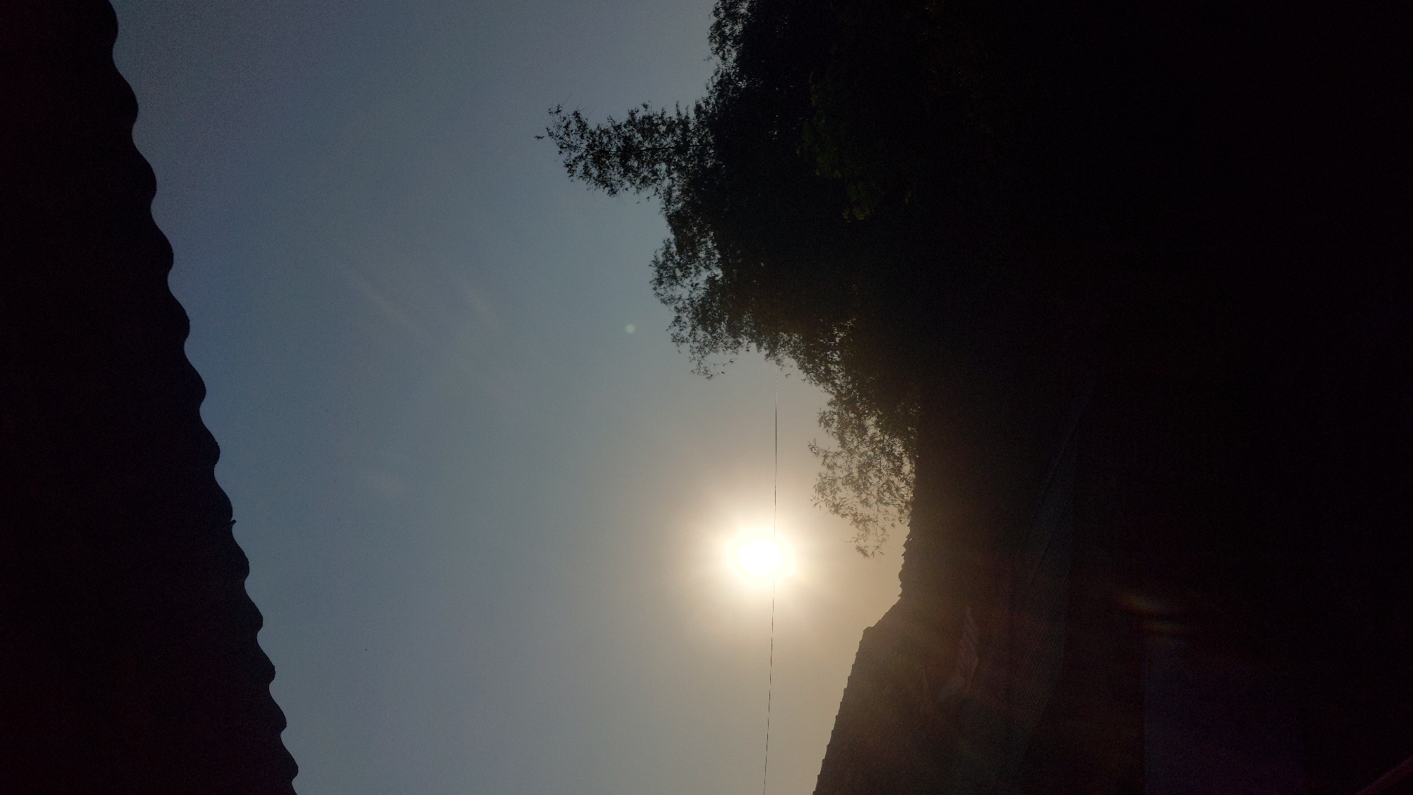 This image captures a sunset view from a roof in Jatirogo, Indonesia. The foreground is dominated by the dark silhouette of a corrugated roofline. Below the roof, the sun is a bright, diffused orb in the sky, casting a warm glow. A thin, dark line, possibly a wire, stretches horizontally across the scene in front of the sun. To the right of the sun, a dense cluster of trees forms a dark silhouette against the lighter sky. The sky itself transitions from a pale yellow near the horizon to a clear, pale blue higher up. The overall impression is one of a serene evening in a rural or semi-rural setting.