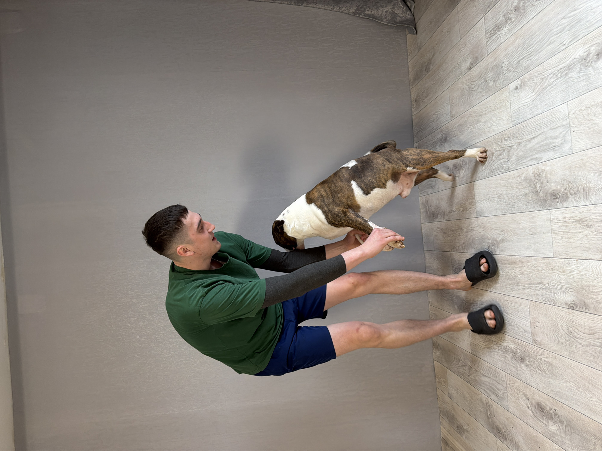 A medium-angle shot displays a man holding a dog in what appears to be an indoor setting. The man, dressed in a green t-shirt, dark arm sleeves, and blue shorts, stands on a light wood-patterned floor. He is wearing black sandals. He appears to be holding the dog up. The dog is brown and white. The background is a light grey wall. The scene appears to be lit by overhead lighting. There is no visible evidence confirming the location in the city of Chaikovsky, Russia.