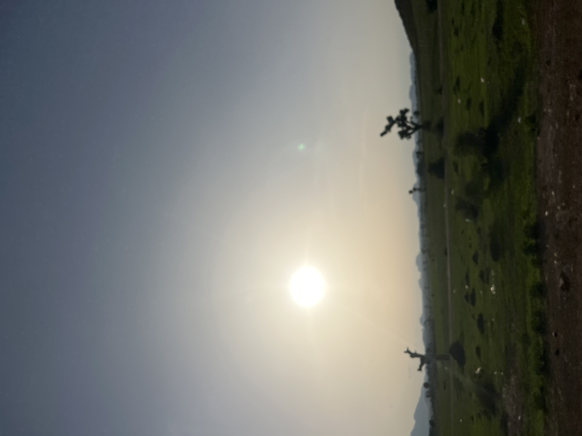 The image captures an open landscape at either sunrise or sunset in Bauchi, Nigeria. A bright, circular sun with a strong halo is positioned in the upper left quadrant, illuminating the scene with a warm, diffuse light. The sky exhibits a gradient, transitioning from bright yellow-white around the sun to light grey-blue, darkening to a deeper blue-grey towards the upper right. A faint green lens flare is visible to the right of the sun. The midground consists of an expansive green field with scattered trees and shrubs. Prominent silhouettes of trees, including one with a distinctive gnarled, multi-branched form on the right and a more slender, bare-branched tree on the left, punctuate the landscape. Small white specks, possibly debris or rocks, are visible across the grassy areas. In the distant background, a low range of mountains or hills is silhouetted against the hazy horizon. The immediate foreground features a strip of dark brown earth, suggesting barren ground or a dirt path. No people or discernible animals are present.