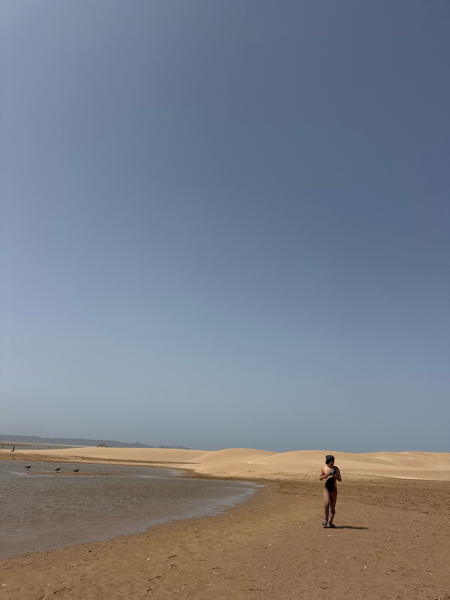A full-frame, low-angle shot captures a person standing on a sandy beach in Essaouira, Morocco, with a body of water to their left and sand dunes in the background. The sky is a clear, pale blue, dominating the upper half of the image. The person, wearing a dark bandana, a dark shirt or top, and light-colored pants, is holding a dark object in their hands. They are facing to the right, looking away from the camera, with a distinct shadow cast on the sand to their right.
In the shallow water to the left, three seagulls are visible, standing on the wet sand where the water meets the beach. Further back, the landscape transitions to rolling sand dunes under the bright sky. The sandy foreground shows footprints, suggesting recent human activity. The overall scene is one of a serene, natural environment, characteristic of the coastal areas around Essaouira.