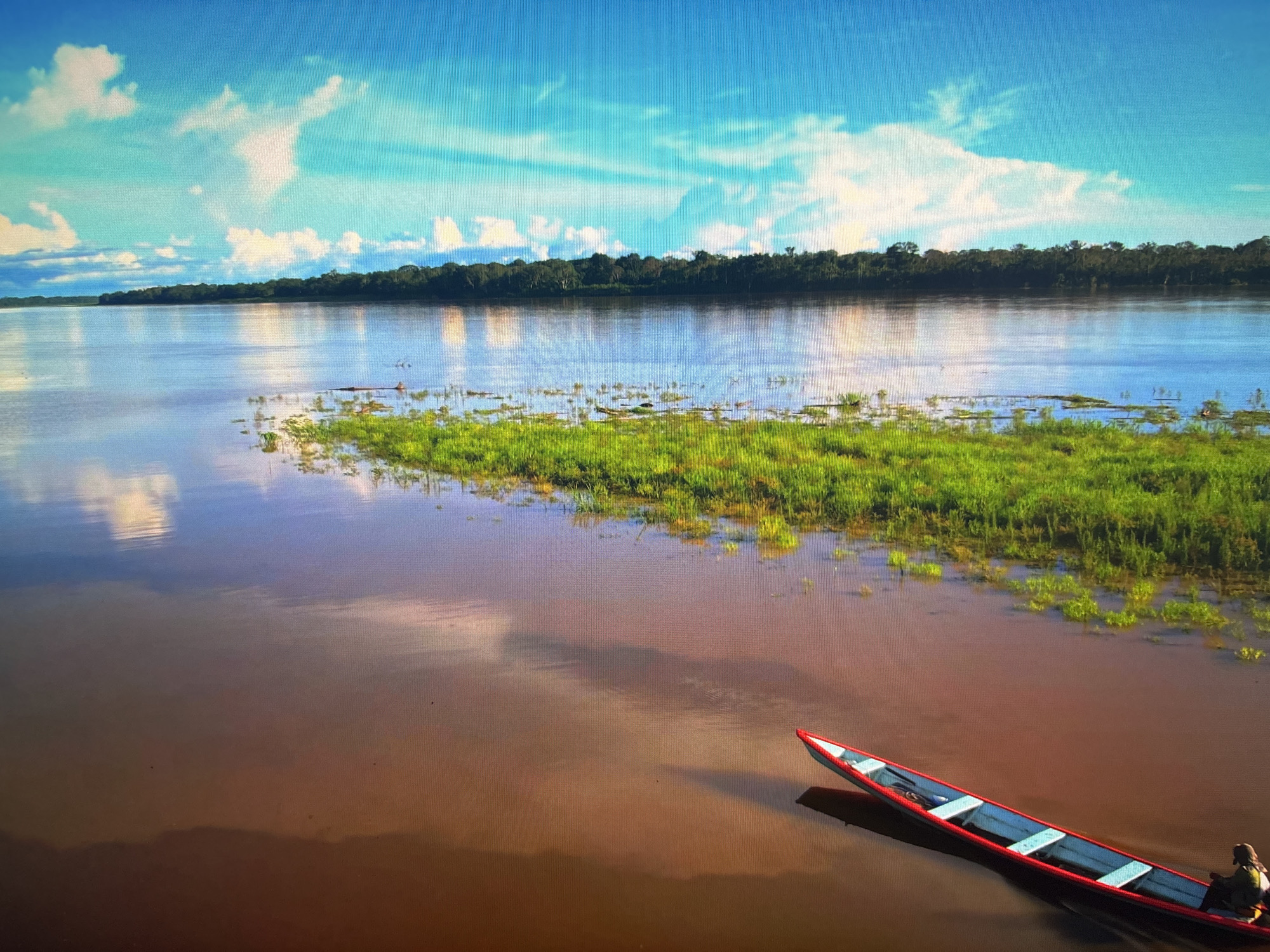 The image depicts a wide, muddy river under a bright blue sky with scattered white clouds. The far bank of the river is lined with a dense forest of dark green trees, creating a stark contrast with the sky and water. In the foreground, a long, narrow canoe with a red trim is partially visible, floating on the water. A person, whose gender is not discernible, is seated in the canoe, facing away from the camera and towards the river. The water reflects the sky and the trees, creating a muted, impressionistic view of the surrounding landscape. Patches of vibrant green aquatic vegetation are visible along the edges of the river, particularly in the middle ground, where they appear to grow in shallow water. The overall scene evokes a sense of tranquility and natural beauty, possibly suggesting a calm day in a remote, natural setting. The time of day appears to be daytime, likely mid-morning or afternoon, given the brightness of the sky and the reflections on the water. There is no visible text in the image.