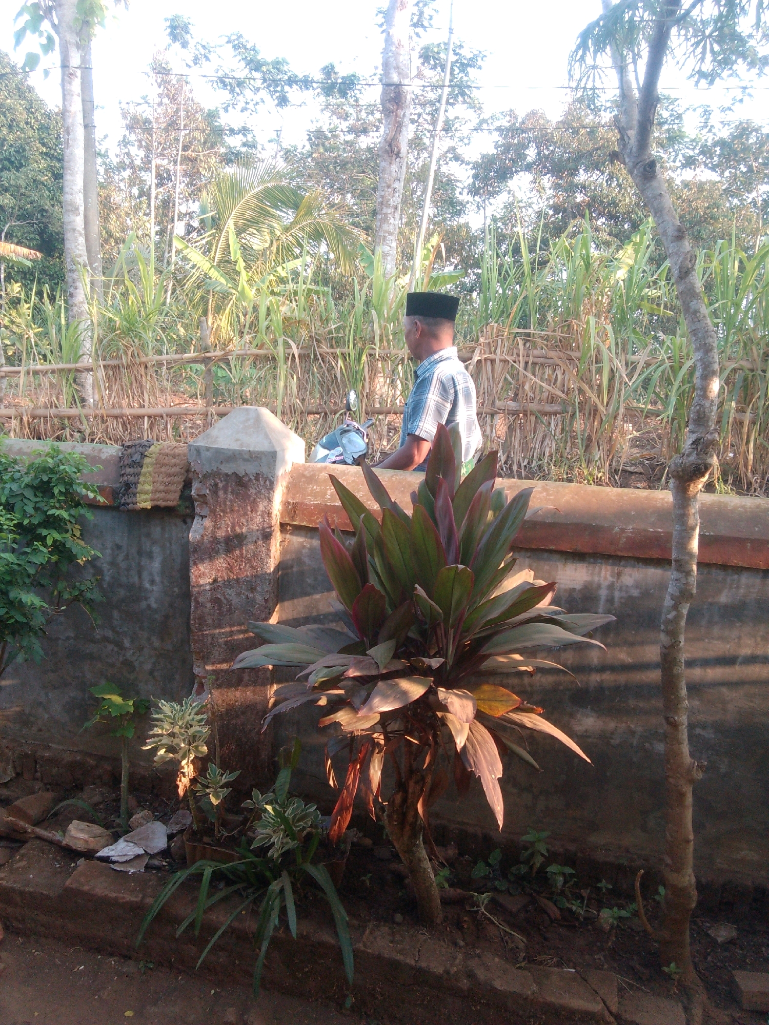 A man wearing a black cap and a checkered shirt stands facing away from the camera, looking to the right in the town of Betek, Indonesia. He is standing near a concrete wall and a bamboo fence, with trees and tall grass in the background. A motorcycle is partially visible to his left. In the foreground, there are several plants and a tree trunk. The lighting suggests it is either early morning or late afternoon, with shadows cast across the scene.