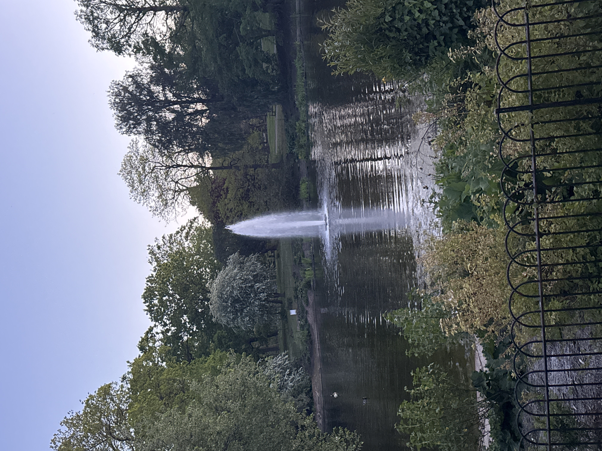 The image captures a serene landscape scene, likely within a park or garden in London, United Kingdom. A tranquil pond or lake dominates the midground, featuring a tall fountain actively spraying water high into the air. The fountain creates ripples on the water's surface, reflecting the soft light from the sky and the surrounding trees. Two ducks are visible swimming peacefully in the calm water further away from the fountain.
The banks of the pond are lush with dense foliage, primarily deciduous trees of various shades of green, suggesting either spring or early summer. Some trees appear to be in bloom with lighter, almost white, blossoms. A path can be seen running along the far bank, and a park bench is discernible among the trees, offering a place for quiet contemplation. A small, light-colored sign with blue text is also present on the far bank, though its content is not legible.
In the foreground on the right, a decorative black metal fence with arched patterns frames the scene, partially obscured by overhanging greenery. The sky, visible in the upper left, is a clear, pale blue, indicating fair weather. The overall lighting is soft and diffused, suggesting either early morning or late afternoon, contributing to a peaceful and calming atmosphere.