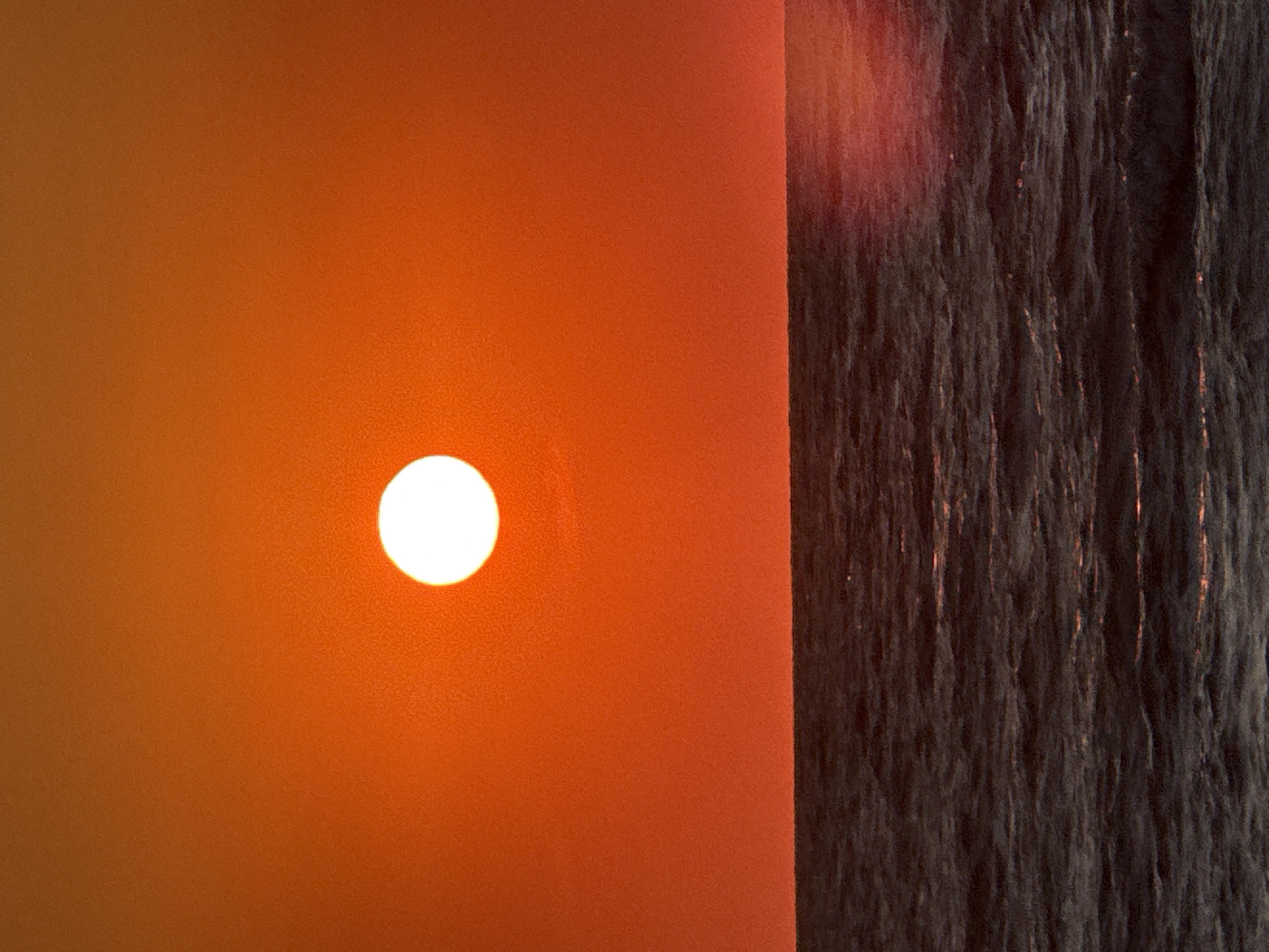 A bright, circular sun is positioned in the upper center of the image against a vibrant orange sky. Below the sky, a dark, textured expanse of ocean stretches across the lower half of the frame. The ocean surface exhibits small waves, with subtle reflections of the sunset's colors visible on the water. The horizon line is sharp and clearly defined, separating the sky and the sea. There are no people or man-made structures visible in this natural landscape scene, which is a sunset over the sea. This scene could be located on the coast of Yeysk, Russia, given the presence of the sea and sky typical of such a location.