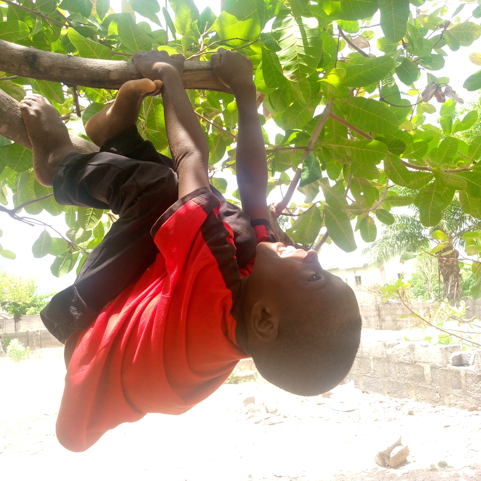 A young boy hangs upside down from a tree branch. He is wearing a red shirt and black pants. He is grasping the branch with his hands and feet. The tree is full of green leaves. The background shows a cement wall and some greenery. The location is Adankolo, Nigeria.