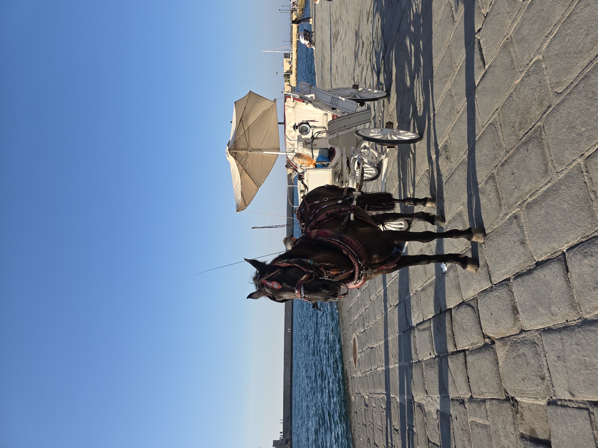 A dark brown horse stands tethered to a white carriage on a stone-paved promenade in Chania, Greece. The horse is wearing a red and brown harness. The carriage has a beige umbrella canopy and a white seat. In the background, the blue sea stretches to the horizon under a clear blue sky. A stone wall runs along the waterfront, with a lighthouse or fort visible in the distance. A few people are scattered along the promenade, some sitting on benches. The sun casts long shadows on the ground, indicating it is late afternoon.
