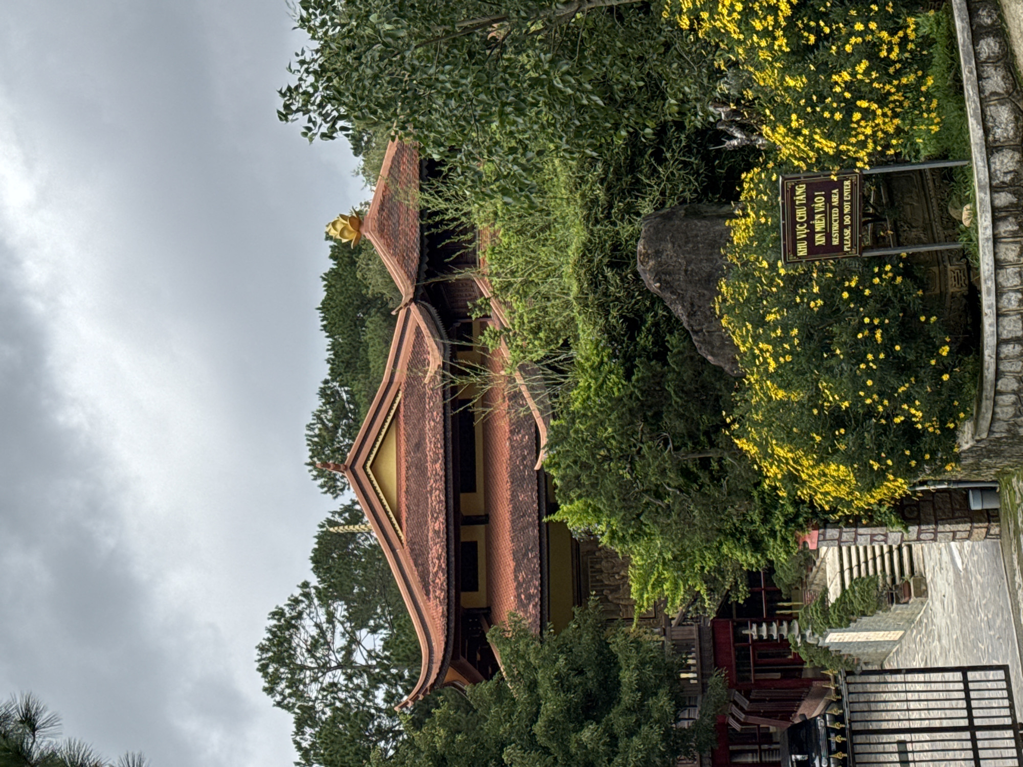 The image presents a serene view of a traditional Vietnamese temple or pagoda, set amidst lush greenery under an overcast sky in Da Lat, Vietnam. The main subject is a multi-tiered building characterized by its reddish-brown tiled roof with ornate, gracefully curved upturned eaves. A golden, lotus-shaped finial is visible atop one of the roof peaks, indicating a religious or cultural site. Yellow accents are also present on the building's facade beneath the eaves.
The structure is enveloped by dense vegetation, including tall trees with dark green leaves that frame the building from the top and sides. To the right, a vibrant cluster of small yellow flowers, possibly chrysanthemums, adds a splash of color, growing alongside a large, dark grey rock. A dark-colored sign, mounted on posts, is prominently displayed among these flowers.
The sign bears text in both Vietnamese and English. The Vietnamese text reads "KHU VỰC CHƯ TĂNG" and "XIN MIỄN VÀO !", which translates to "MONKS' AREA" and "PLEASE, DO NOT ENTER!". The English text below reinforces this message: "RESTRICTED AREA" and "PLEASE, DO NOT ENTER".
A stone pathway or low wall runs along the right side of the image, leading towards a dark metal gate partially visible at the bottom right. The sky is uniformly grey and cloudy, indicating an overcast day with soft, diffused lighting. The scene captures a tranquil and culturally significant landscape, emphasizing the temple's integration with nature and the importance of respecting designated areas within the site.