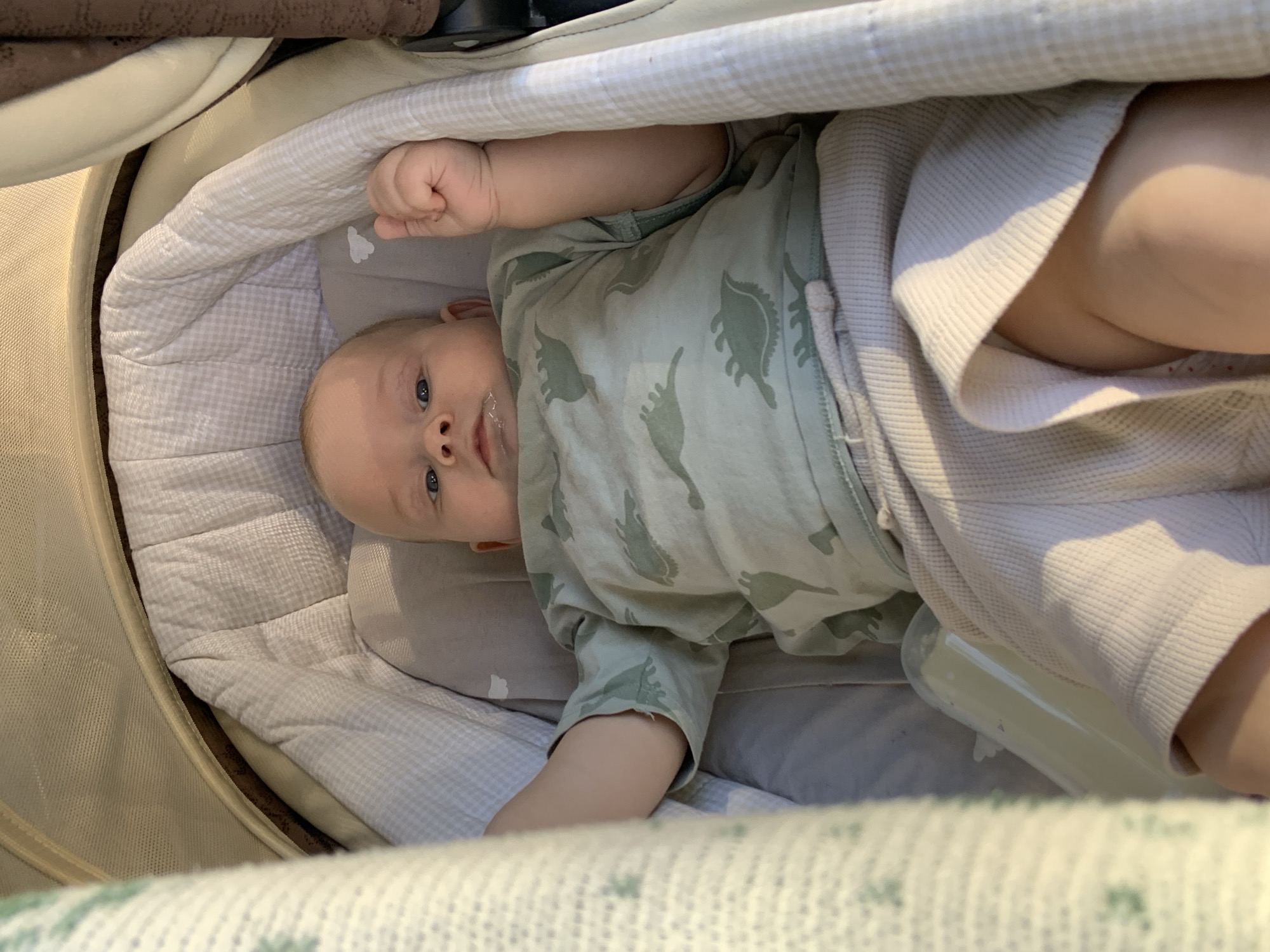 A baby is lying in a baby stroller. The baby is wearing a green shirt with a dinosaur pattern and light-colored shorts. The stroller has a checkered blanket inside, and a white blanket is draped over the baby. The baby's eyes are open, and they are looking up. There is a milk bottle next to the baby. The scene appears to be outdoors, as indicated by the sunlight. The time of day is likely daytime.