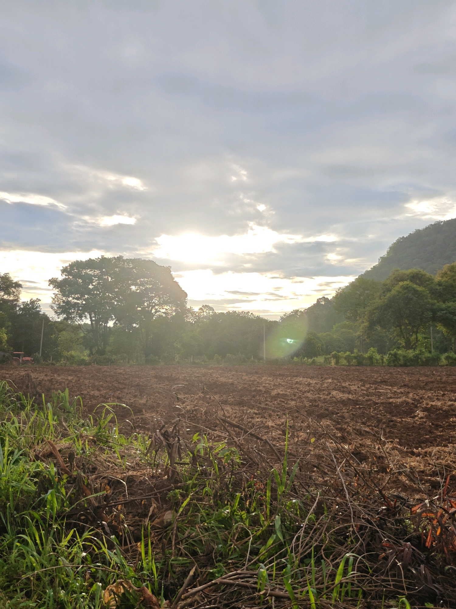 An agricultural field in Mu Si, Thailand, is depicted during a time of day when the sun is low in the sky, casting a warm glow and creating a slightly hazy atmosphere. The foreground of the image is dominated by a freshly plowed field of dark brown soil, with some dry vegetation and tall green grass growing along the edges. In the mid-ground, a line of trees separates the field from a lush green hillside in the background. The sky above is filled with scattered clouds, with patches of sunlight breaking through, creating a dramatic and slightly ethereal lighting effect. A small, red tractor is visible on the left side of the field, suggesting recent agricultural activity. The overall impression is one of rural tranquility and the natural beauty of the Thai landscape.