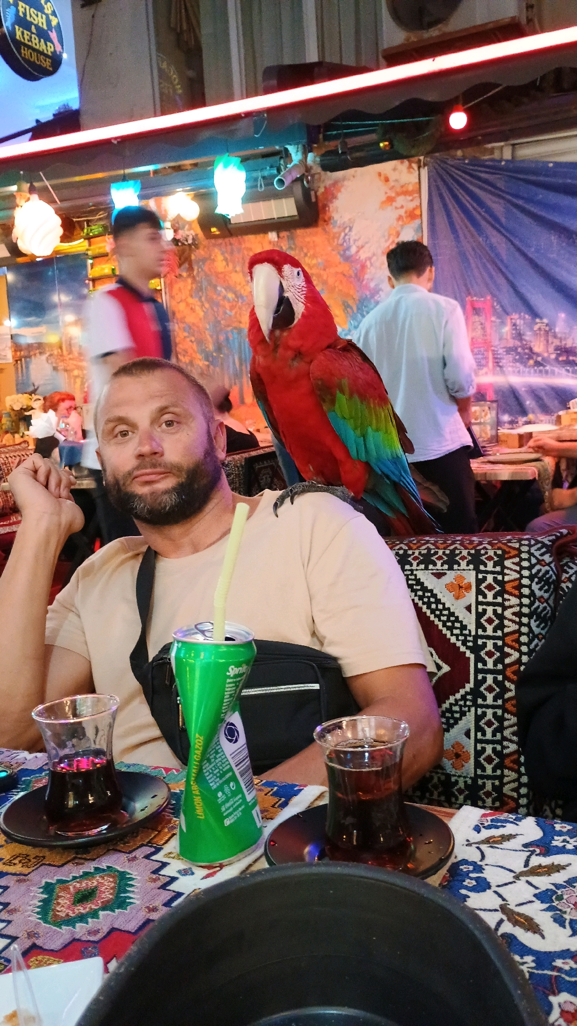 A man with a beard and a beige t-shirt is sitting at a table with a large red and green parrot on his shoulder. The parrot has a white beak and blue and green feathers. In front of the man is a green can of Sprite and two glasses of dark liquid, likely tea, in traditional Turkish tulip-shaped glasses. The table is covered with a colorful patterned cloth. Behind the man, a blue tarp with a cityscape printed on it serves as a backdrop. Two other people are visible in the background, one in a white shirt and another in a red and blue shirt, appearing to be staff or other patrons. The setting appears to be an outdoor cafe or restaurant, possibly in Istanbul, Turkey, given the presence of Turkish tea glasses and the general ambiance.