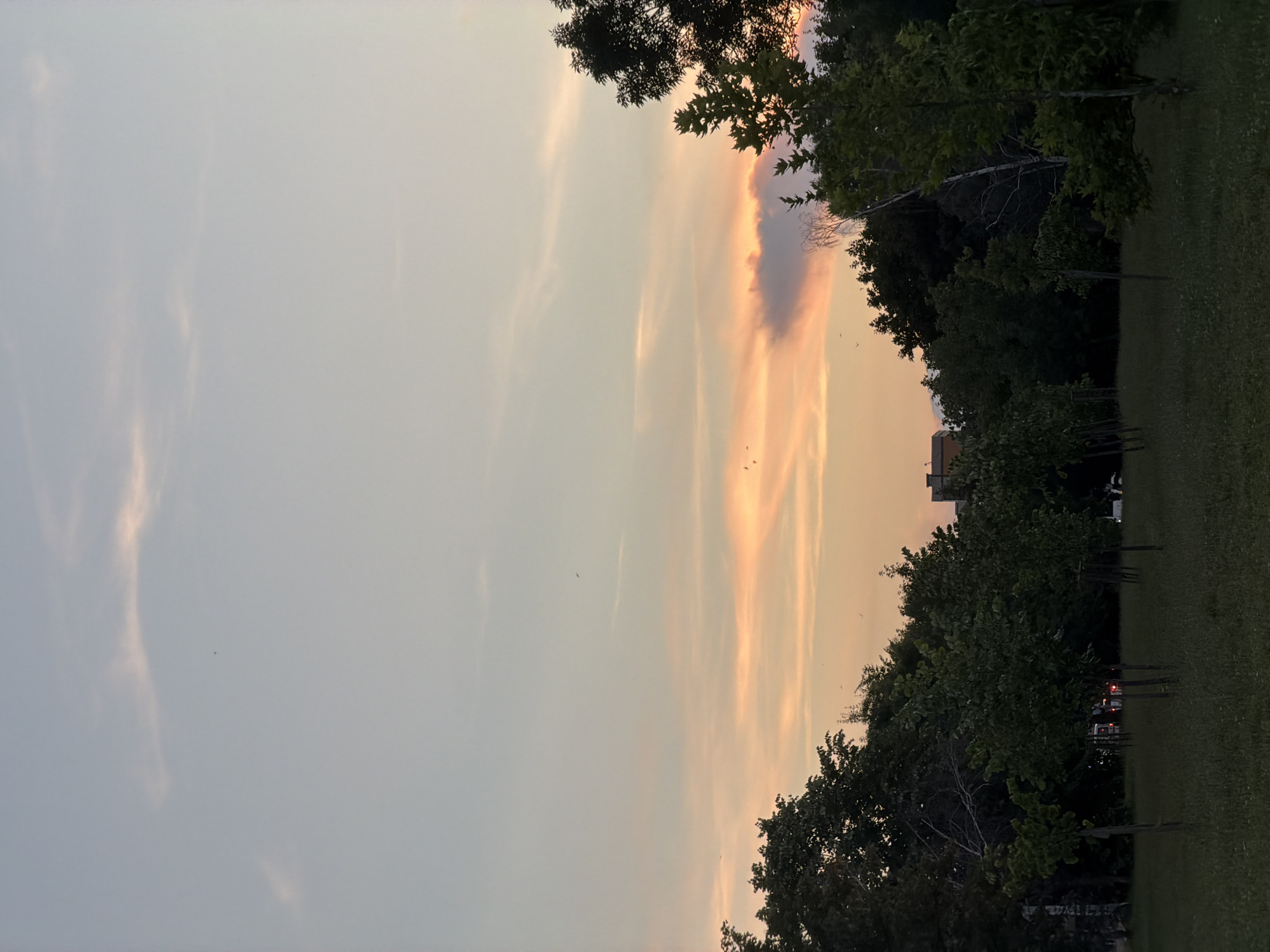 This image depicts a serene park scene at dusk in Sofia, Bulgaria. The sky is a soft gradient of pale blue and peach, with wispy clouds catching the last rays of the setting sun. A few birds are visible in the sky. The foreground is dominated by lush green grass and a scattering of young trees, some with stakes supporting them. In the background, a dense line of mature trees forms a dark silhouette against the illuminated sky. A faint outline of a building can be seen through the trees on the right side of the frame. The overall atmosphere is tranquil and suggests an urban park setting.