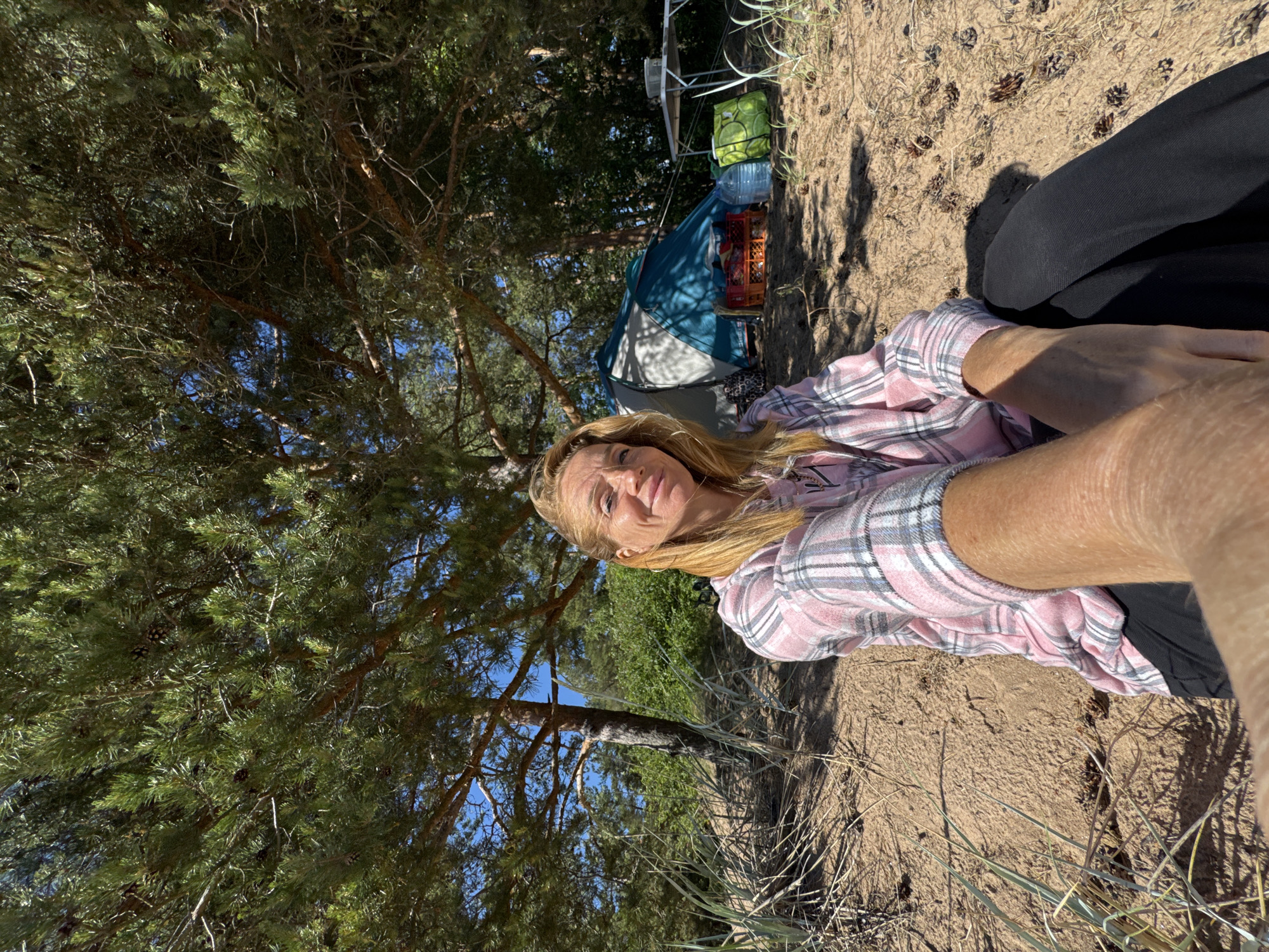 A woman with blonde hair, wearing a pink and white plaid shirt and black pants, sits on sandy ground under a pine tree. She is holding the camera with her right arm, which is in the foreground and takes up the lower left portion of the frame. Behind her, a blue and teal tent is set up, with a red crate, a white cooler, and a green bag next to it. A folding table with a white top is visible to the right of the tent, near some green bushes and trees. The ground is covered with sand, pine needles, and pine cones. The sky is visible through the branches of the pine tree. The location is the city of Zelenaya Roshcha, Russia.