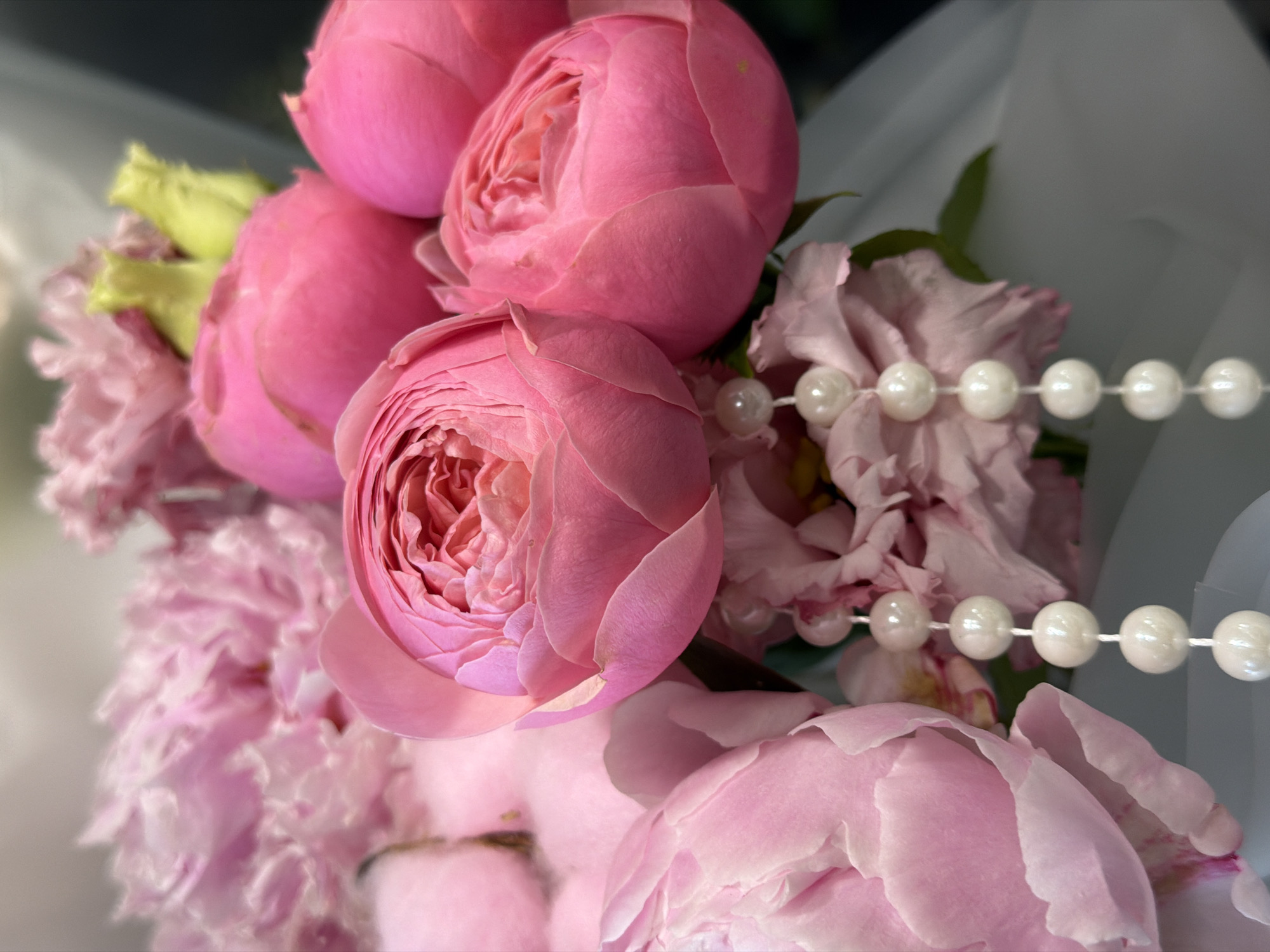 This is a close-up, overhead shot of a bouquet of pink flowers. The flowers appear to be roses and possibly peonies due to their layered petals and rounded shapes. The color palette is predominantly soft pinks, with some lighter pink and a touch of pale green visible from the buds and leaves. The flowers are arranged in a way that suggests they are part of a larger floral arrangement, possibly a gift or decoration.
A strand of white pearls is draped across the flowers, adding a touch of elegance and texture to the composition. Some of the pearls are in focus, while others are blurred, creating a sense of depth. The background is out of focus, but it appears to be a light-colored material, possibly wrapping paper or fabric, with some darker areas that suggest shadows.
The lighting is soft and diffused, highlighting the delicate textures of the petals and the sheen of the pearls. The overall mood of the image is romantic, delicate, and luxurious. There is no visible text in the image. The focus is entirely on the beauty and intricate details of the flowers and pearls.