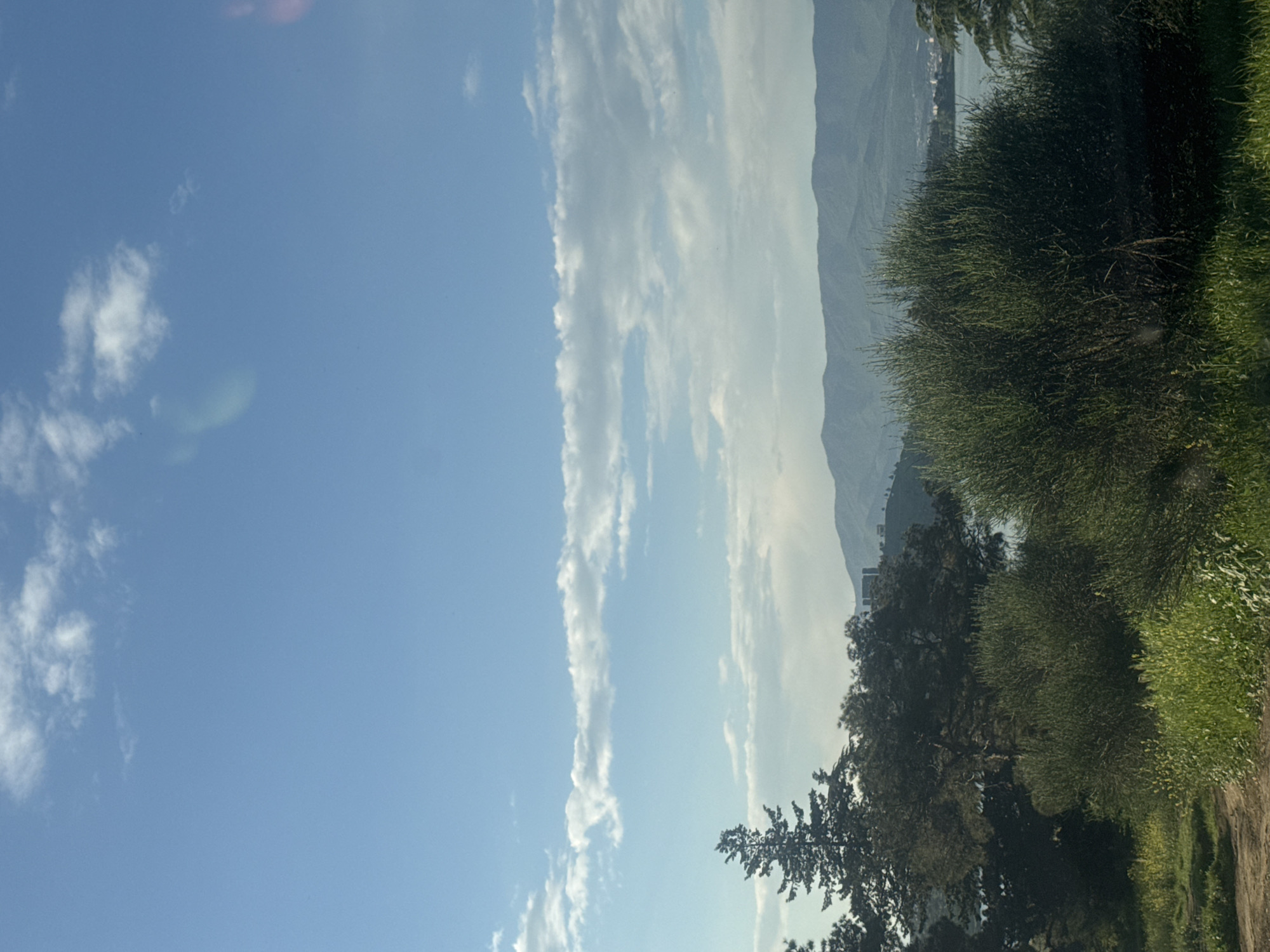 A landscape photograph depicts a sky filled with wispy clouds and mountain ranges in the background, with trees and vegetation lining the right side and bottom of the frame. The location may be in or around Tbilisi, Georgia, based on the visual features of the terrain and flora. No people are apparent in the photograph.
