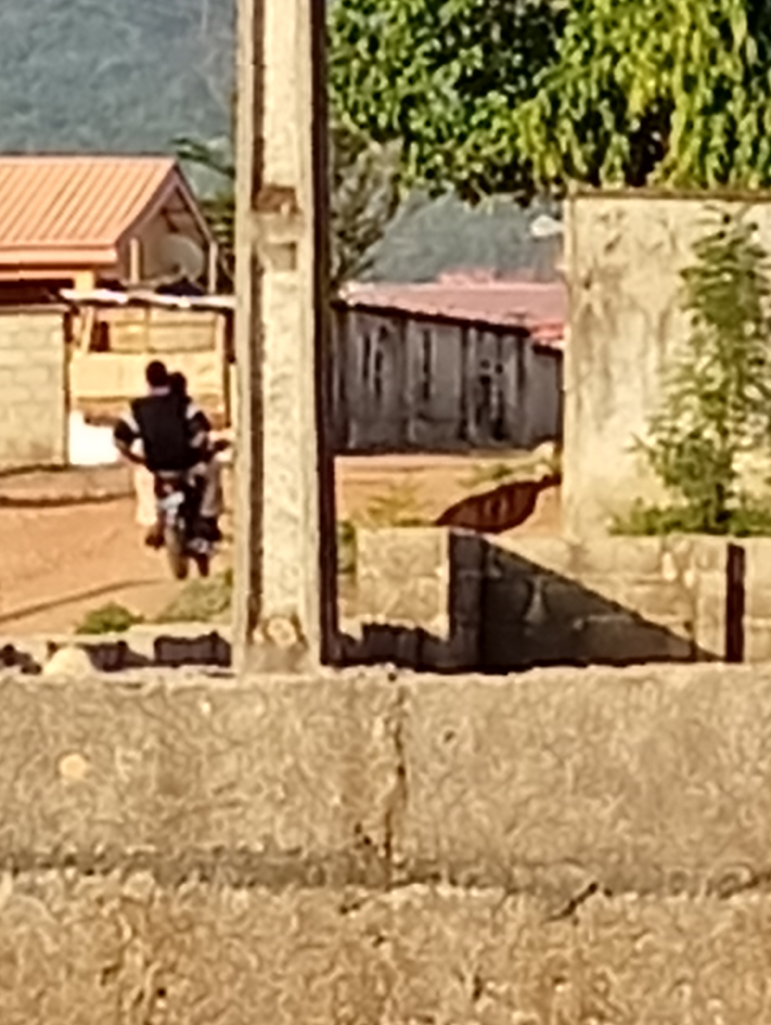 The image captures a scene in a rural or developing urban area. A motorcycle with two occupants travels on a dirt road, passing between a partially constructed or dilapidated building in the foreground and another building with a red-tiled roof in the background. The foreground structure is made of rough concrete or stone, suggesting unfinished construction or decay. Vegetation is visible in the background, including trees and other foliage. The overall atmosphere is one of a poor, possibly rural, or peri-urban environment.