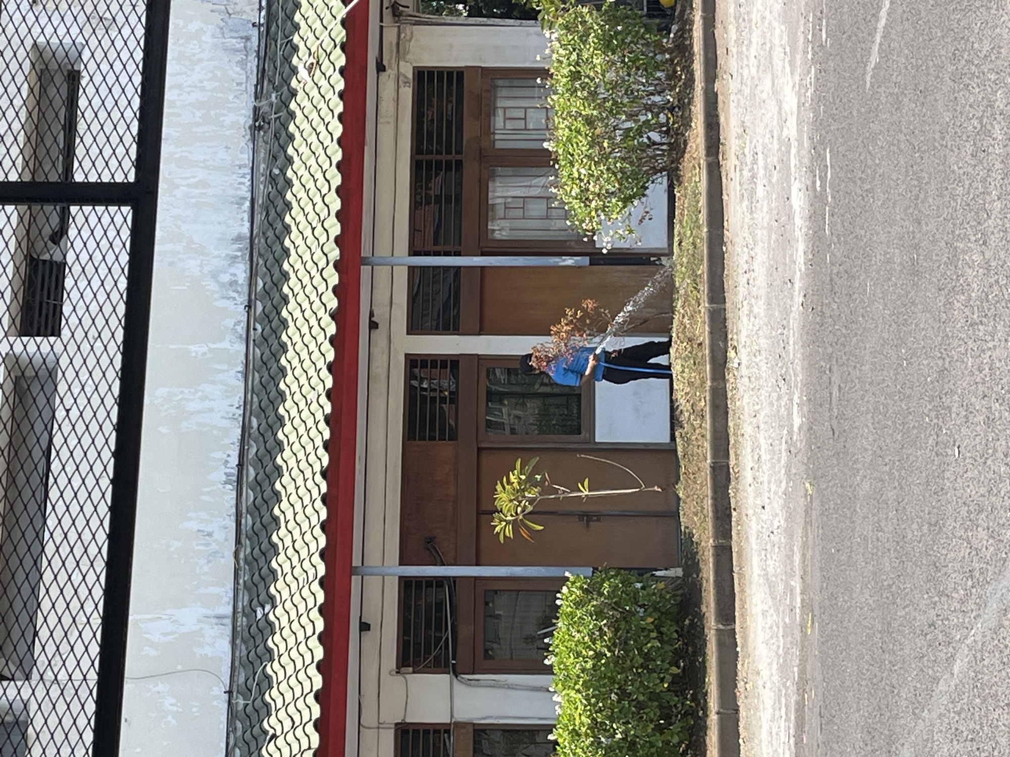 In Singosari, Indonesia, a person in a blue shirt and black pants waters a small tree in front of a building. The building has a green tiled roof with red trim and large wooden doors and windows. Lush green bushes flank the front of the building. The area appears to be a commercial or institutional space with a paved road in the foreground.