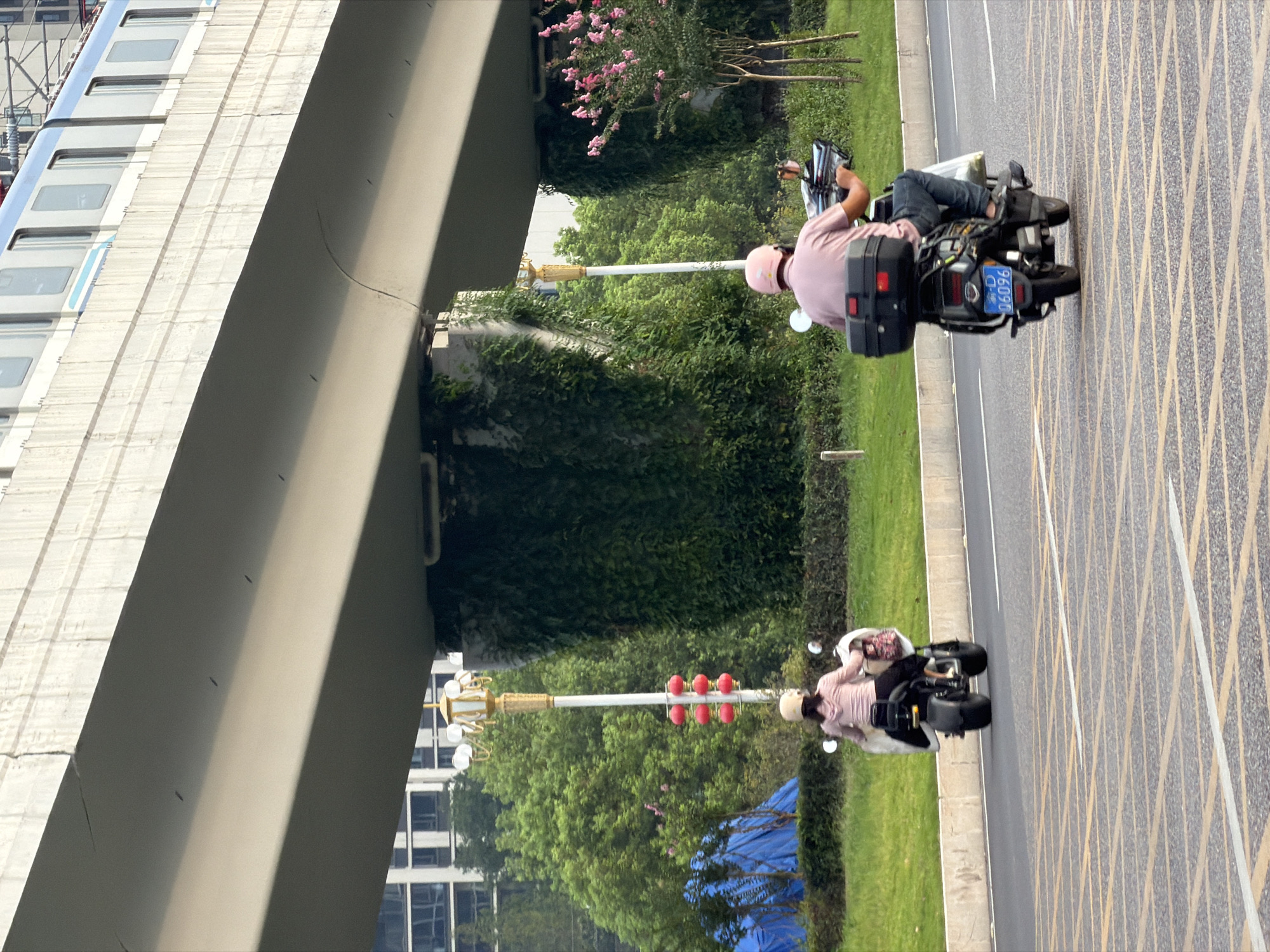 The image depicts a street scene in Jiangjin, China, under an elevated structure, likely an overpass or bridge, supporting a train or metro line. Two individuals are riding electric scooters on a paved road. In the foreground, a person wearing a pink shirt and a pink helmet rides a black electric scooter with a large black storage box on the rear. The scooter has a license plate that reads "D 06096". Behind this person, further down the road, another individual wearing a pink top and a beige helmet is riding a white and black electric scooter.
The elevated structure above is made of concrete and shows some signs of wear, including a visible crack. The pillars supporting the structure are covered in dense green vegetation. To the left of the road, there is a grassy area with a tall lamppost adorned with several red spherical lights. A blue tarp covers an unseen object in the far left background. To the right, there is a tree with pink blossoms and more green foliage. Buildings are visible in the background behind the trees. The road surface is marked with a grid pattern of yellow and white lines. The lighting suggests it is daytime, possibly late afternoon or early evening, with shadows cast by the elevated structure.