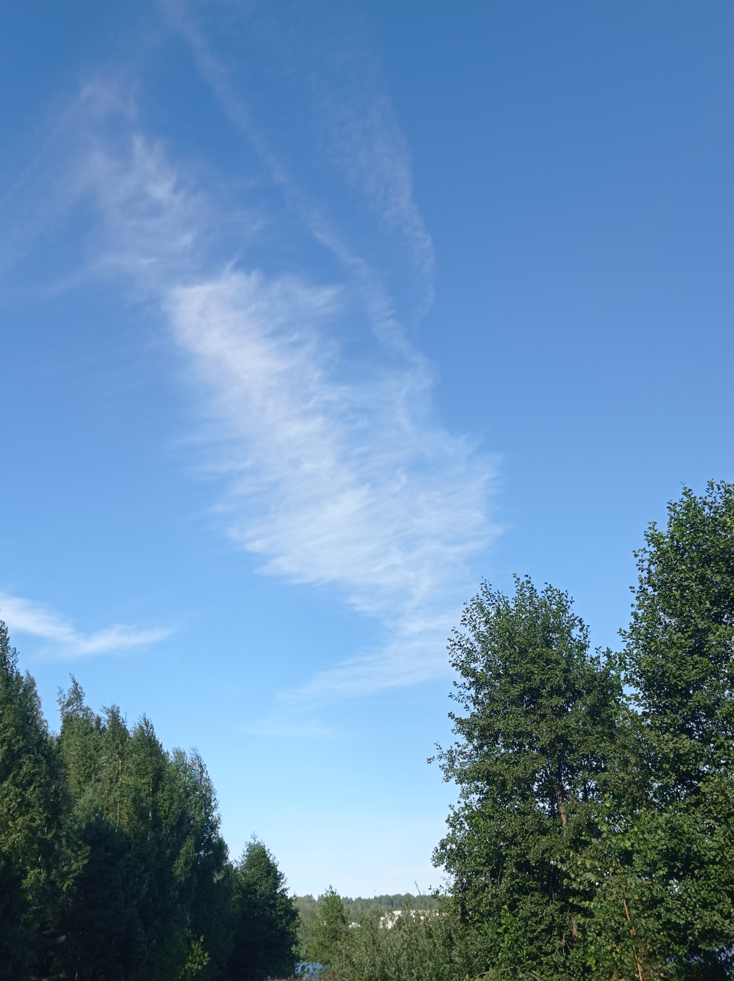 The image shows a clear blue sky with wispy white clouds. In the foreground, a line of lush green trees runs across the bottom of the frame, with a few taller trees on the right side. In the background, a distant, hazy landscape is visible, suggesting a semi-rural or suburban setting. The overall impression is one of a bright, sunny day. There are no people or specific objects of interest visible in the image. The location is Degtyarsk, Russia.